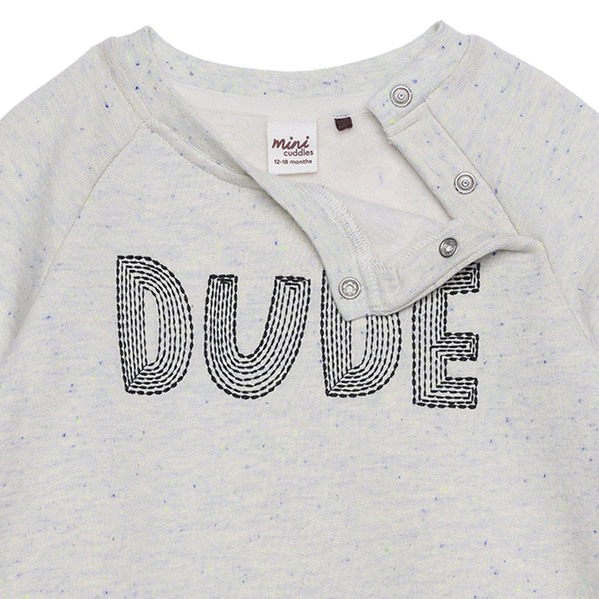 Baby Boys Light Grey Cotton Blend Dude Embroidered Full Sleeve Sweatshirt Regular Fit Casual Wear