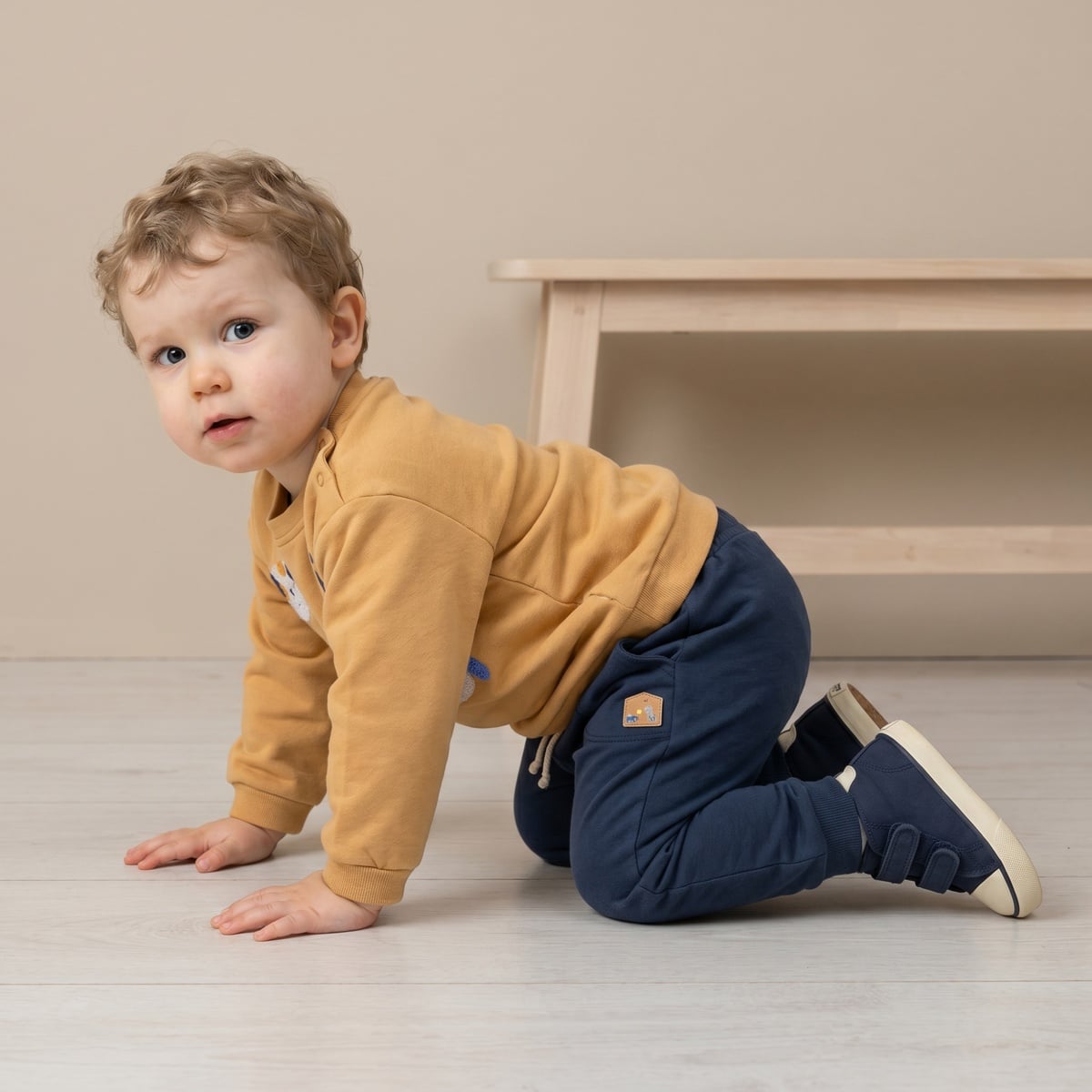 Baby Boys Mustard Yellow Cotton Blend Animal Embroidered And Printed Full Sleeve Sweatshirt Regular Fit Casual Wear