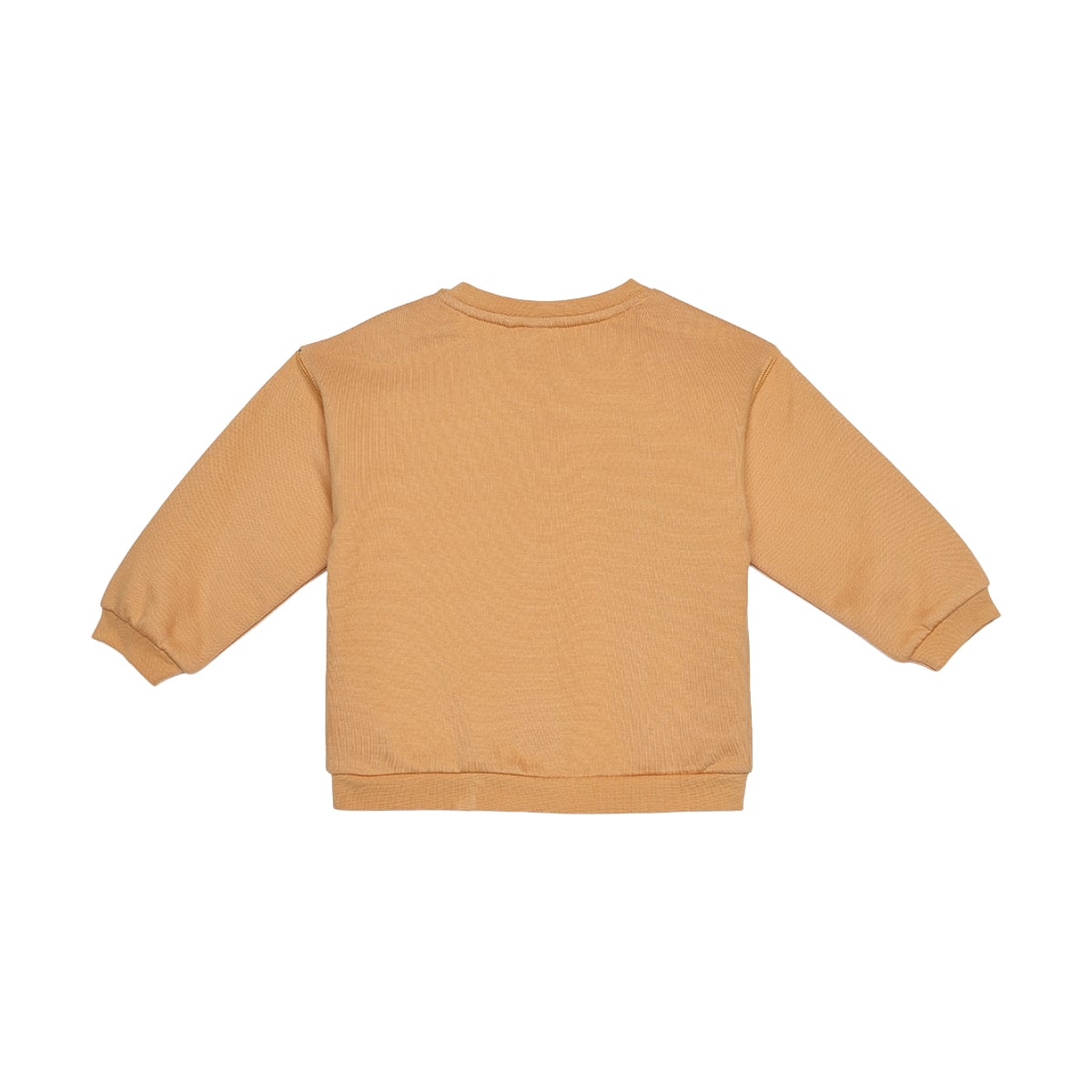 Baby Boys Mustard Yellow Cotton Blend Animal Embroidered And Printed Full Sleeve Sweatshirt Regular Fit Casual Wear