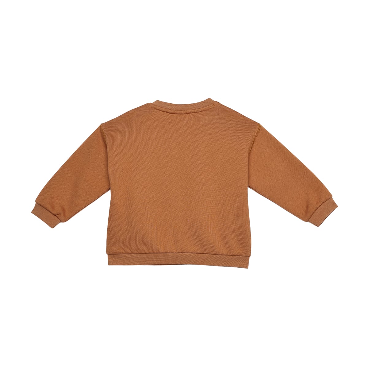Baby Boys Rust Brown Cotton Blend Fox Appliqué Full Sleeve Sweatshirt Regular Fit Casual Wear