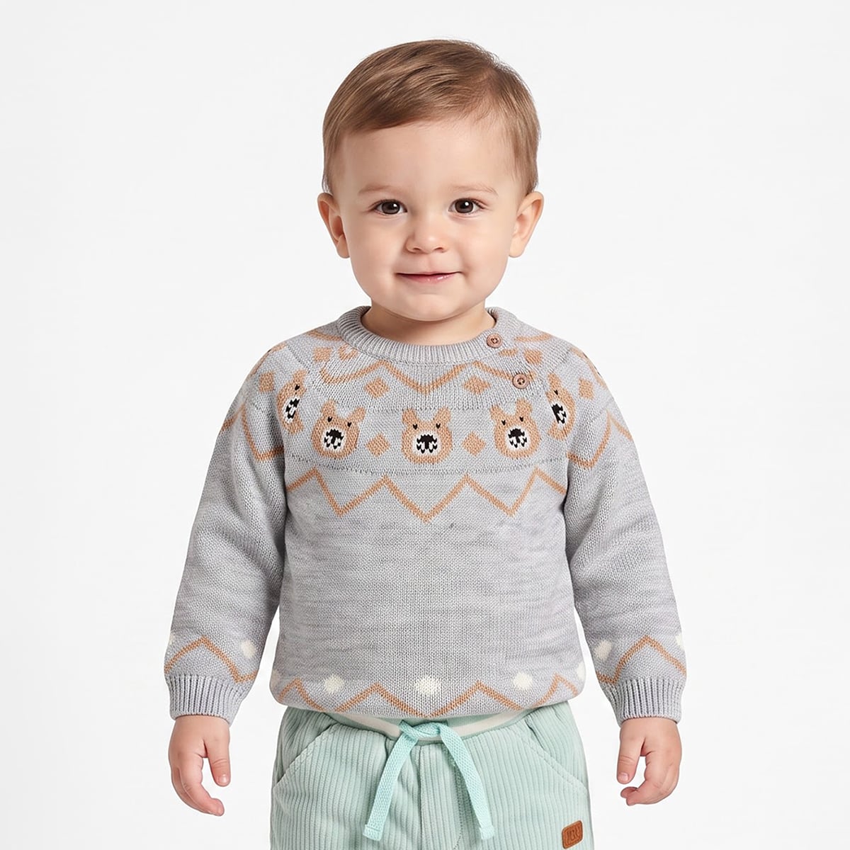 Baby Boys Grey Animal Pattern Knitted Sweater Regular Fit Casual Wear