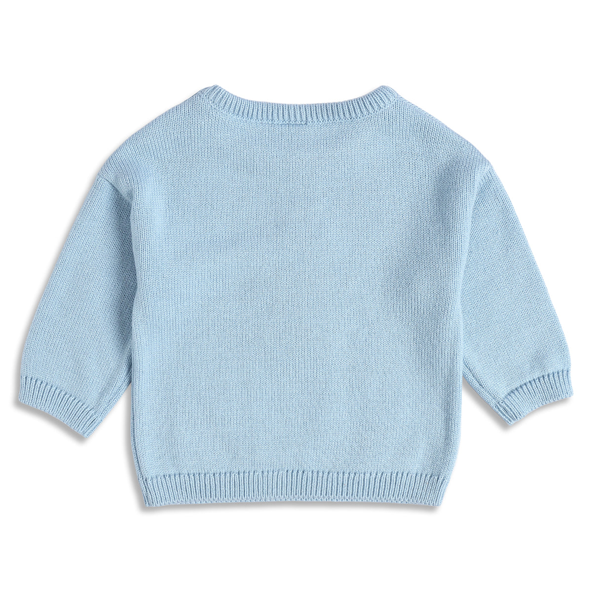 Baby Boys Light Blue Knitted Sweater Guard Motif Casual Winter Wear