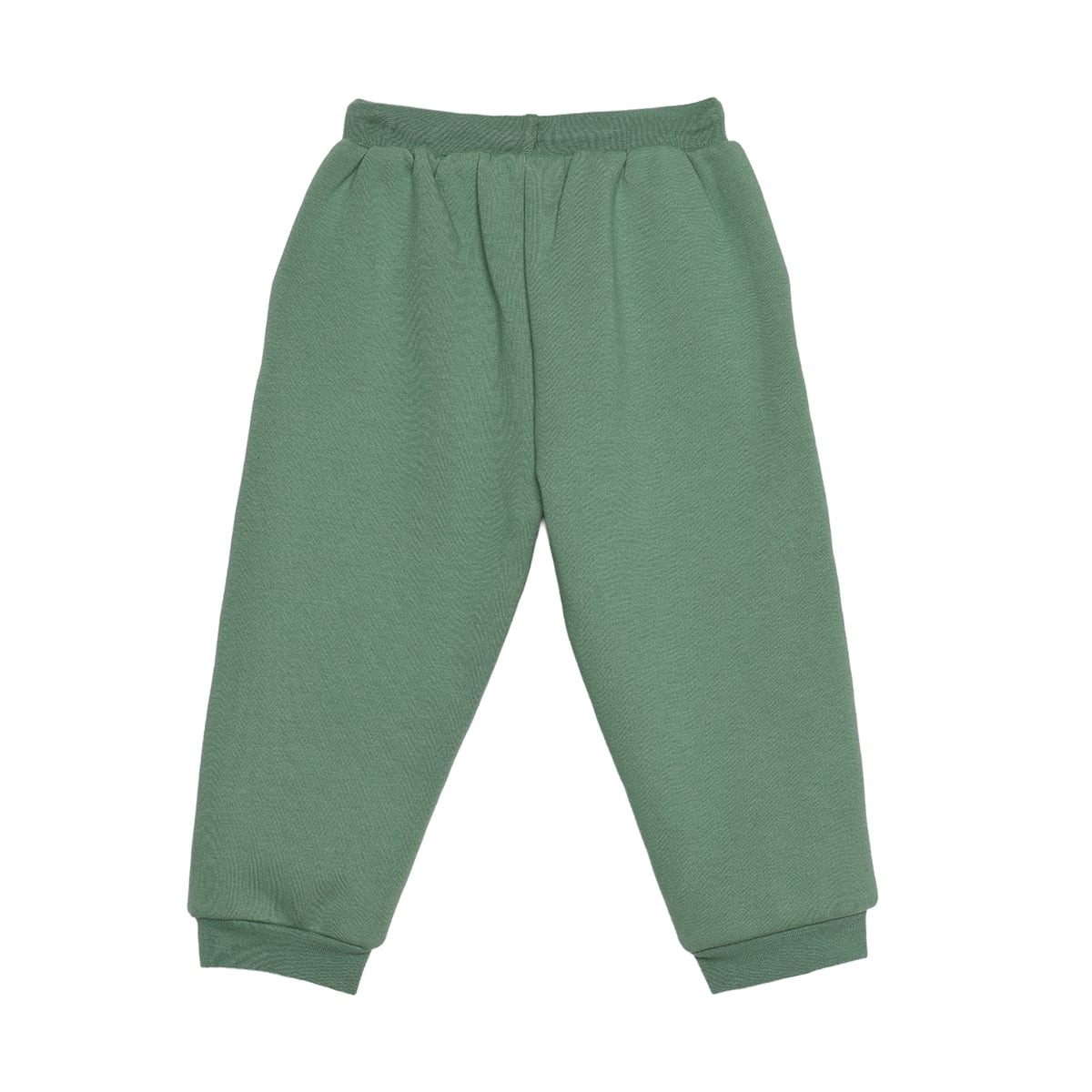 Baby Boys Sage Green Cotton Blend Bear Embroidered Hooded Full Sleeve Top And Bottom Set Regular Fit Casual Wear