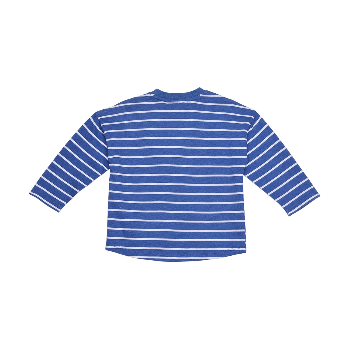 Baby Boys Blue And White Cotton Striped Dog Applique T-Shirt  Regular Fit Full Sleeve Casual Wear