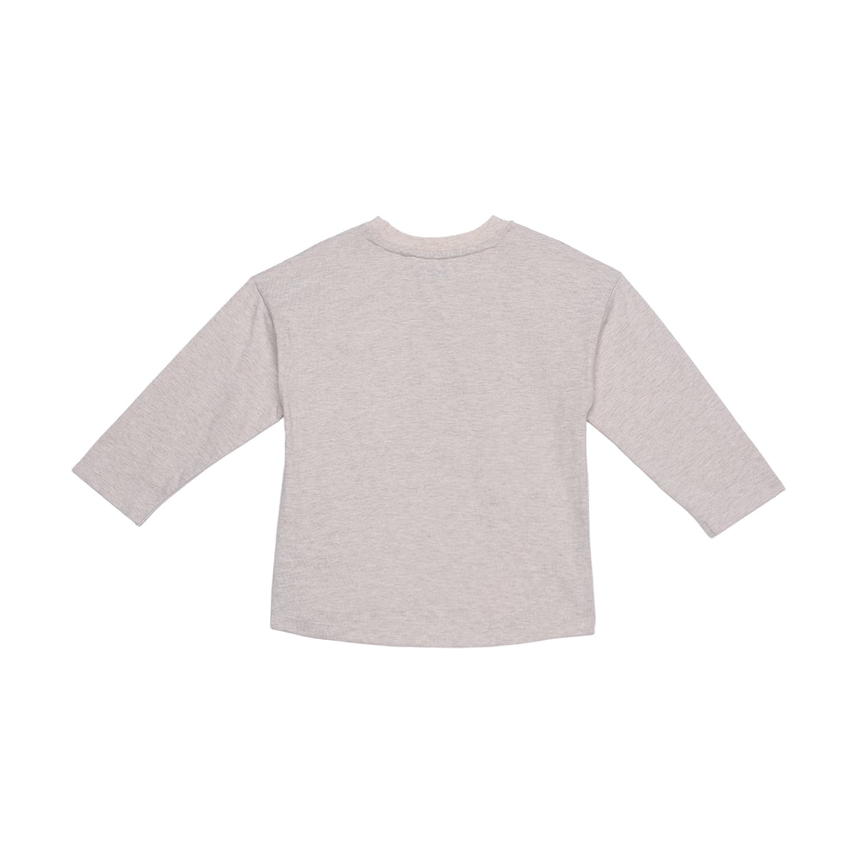 Baby Boys Beige Cotton Fox Printed T-Shirt  Regular Fit Full Sleeve Casual Wear