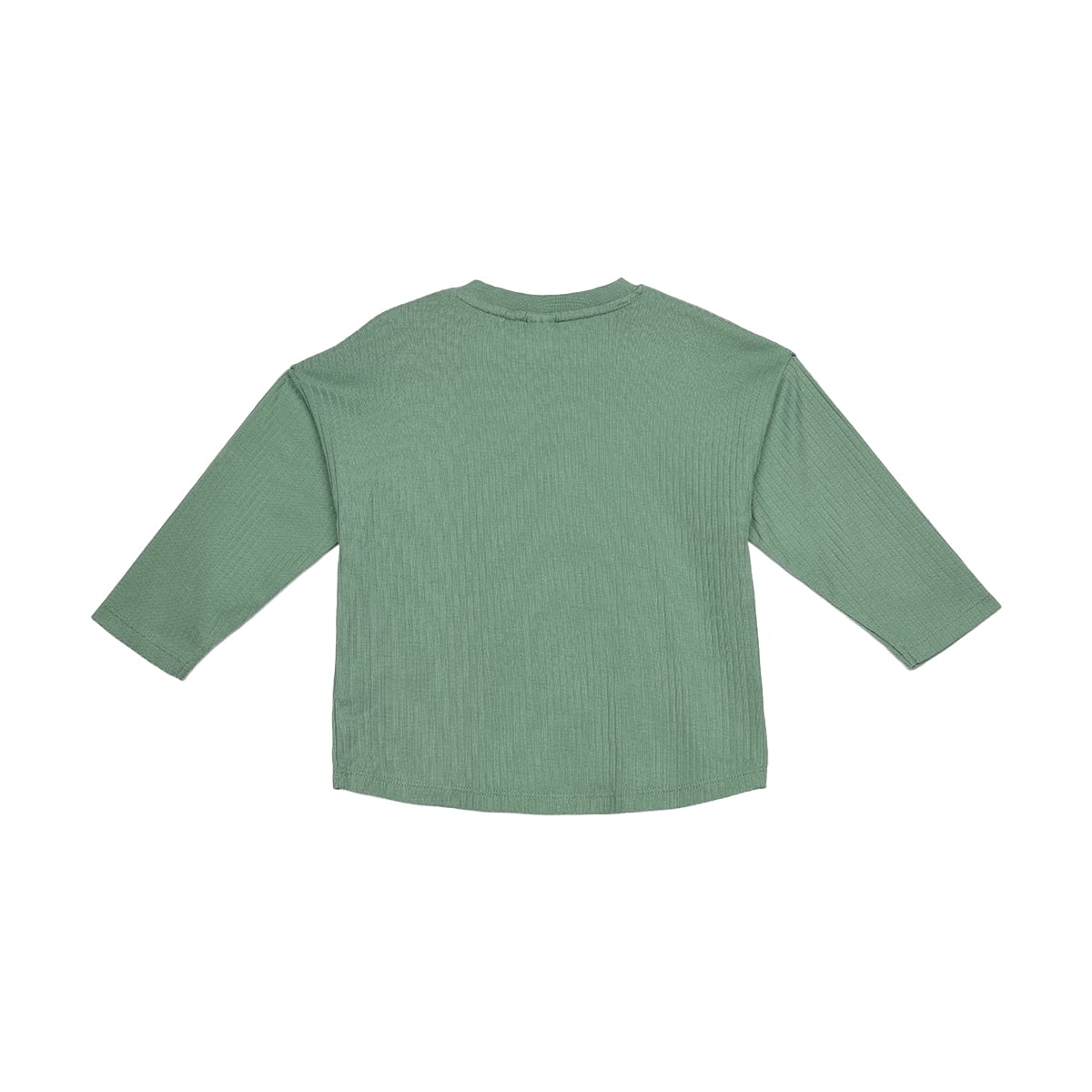 Baby Boys Sage Green Cotton Textured Woodland Animal Applique T-Shirt Regular Fit Full Sleeve Casual Wear