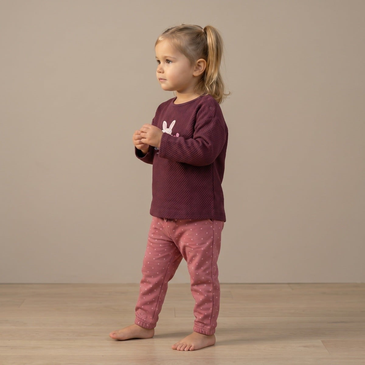 Baby Girls Burgundy Cotton Blend Bunny Embroidered Textured Sweatshirt Regular Fit Casual Wear