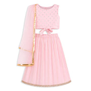 Baby Girls Pink and Gold Woven Lehenga Set Regular Fit Festive Kids Ethnic Wear