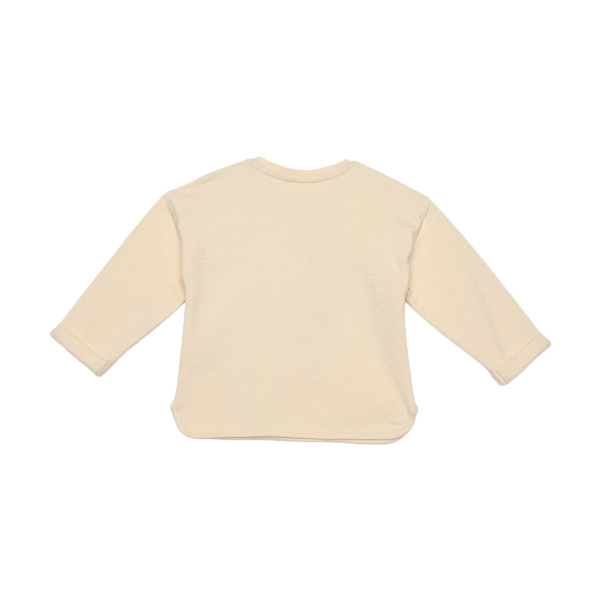 Baby Girls Cream Cotton Blend Puppy And Flower Applique Sweatshirt Regular Fit Casual Wear