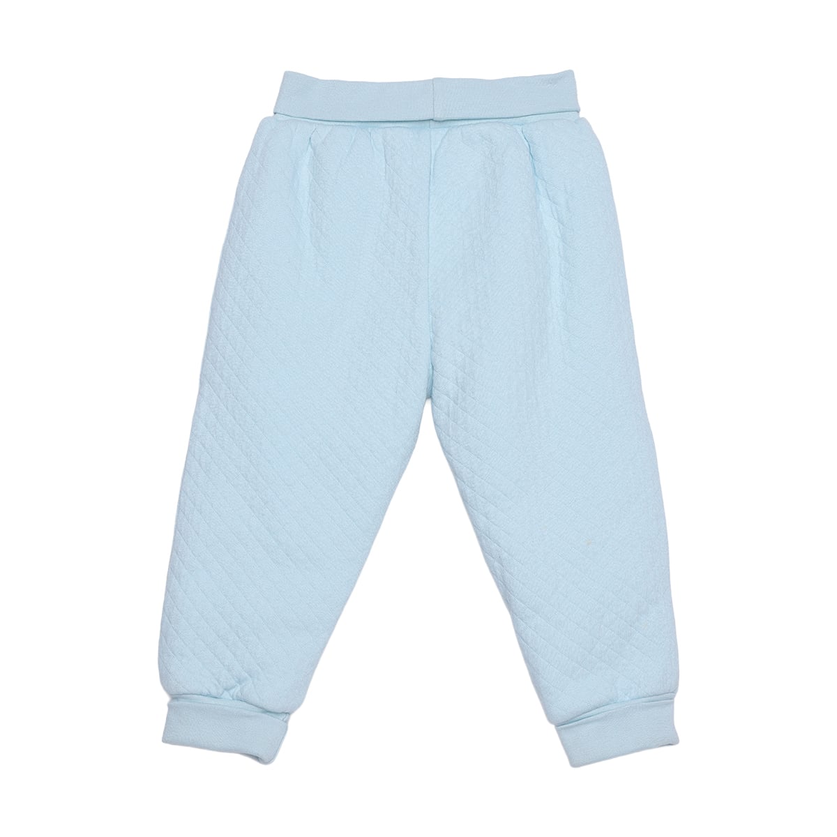 Baby Girls Light Blue Cotton Blend Flower Embroidered Hooded Top And Bottom Set Regular Fit Casual Wear