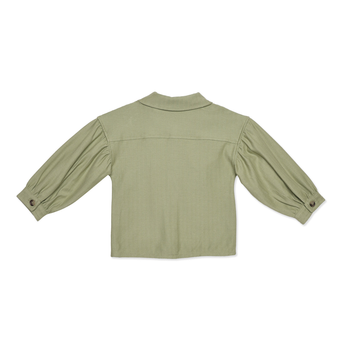 Baby Girls Sage Green Cotton Shirt and Pant Set Regular Fit Casual Wear