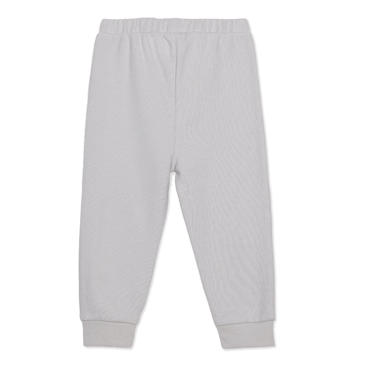 Baby Unisex Grey and Mint Green Cotton Jogger Pants Pack of 2 Regular Fit Casual Kids Bottoms