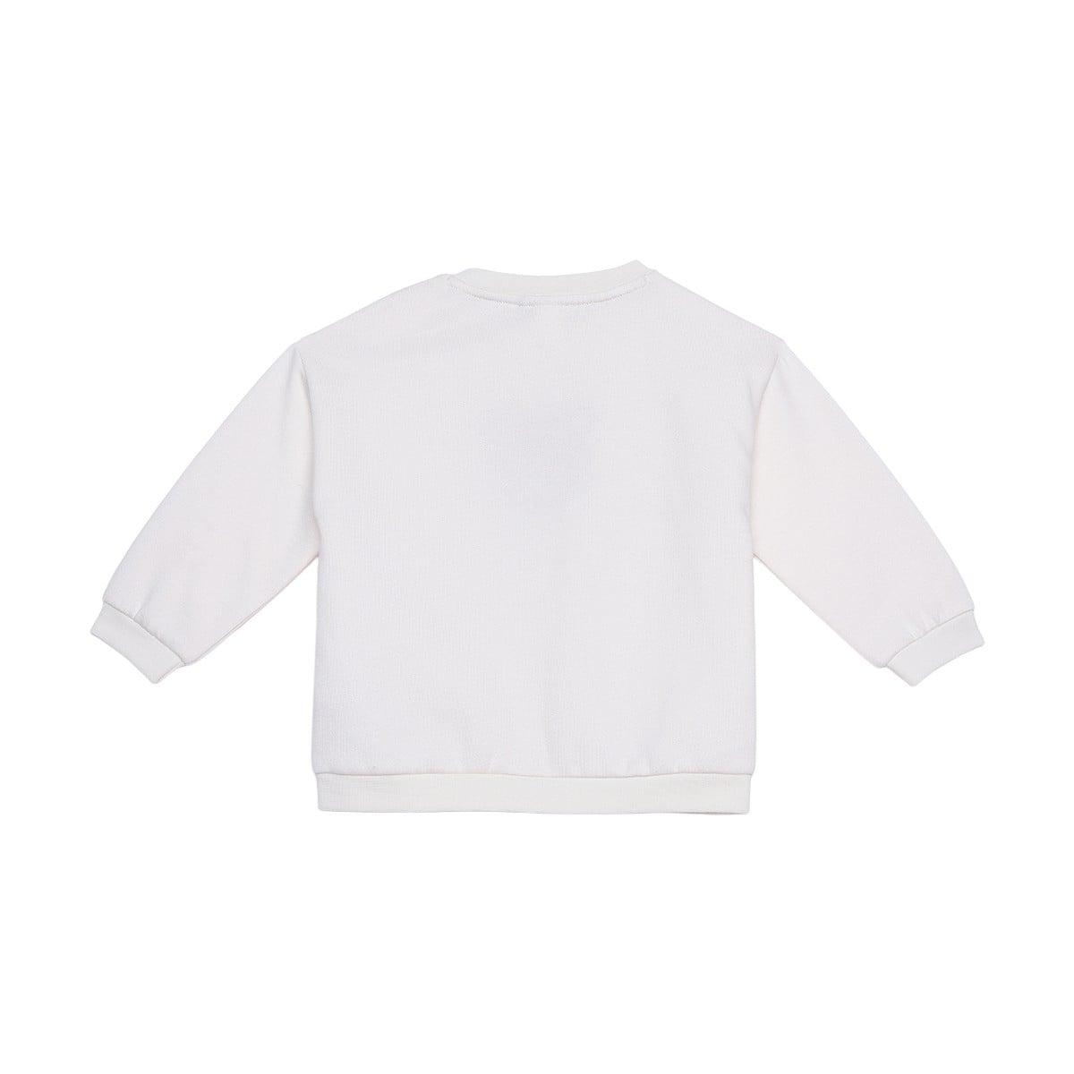 Baby Boys Off-White Cotton Blend Bear Embroidered Sweatshirt Regular Fit Casual Wear