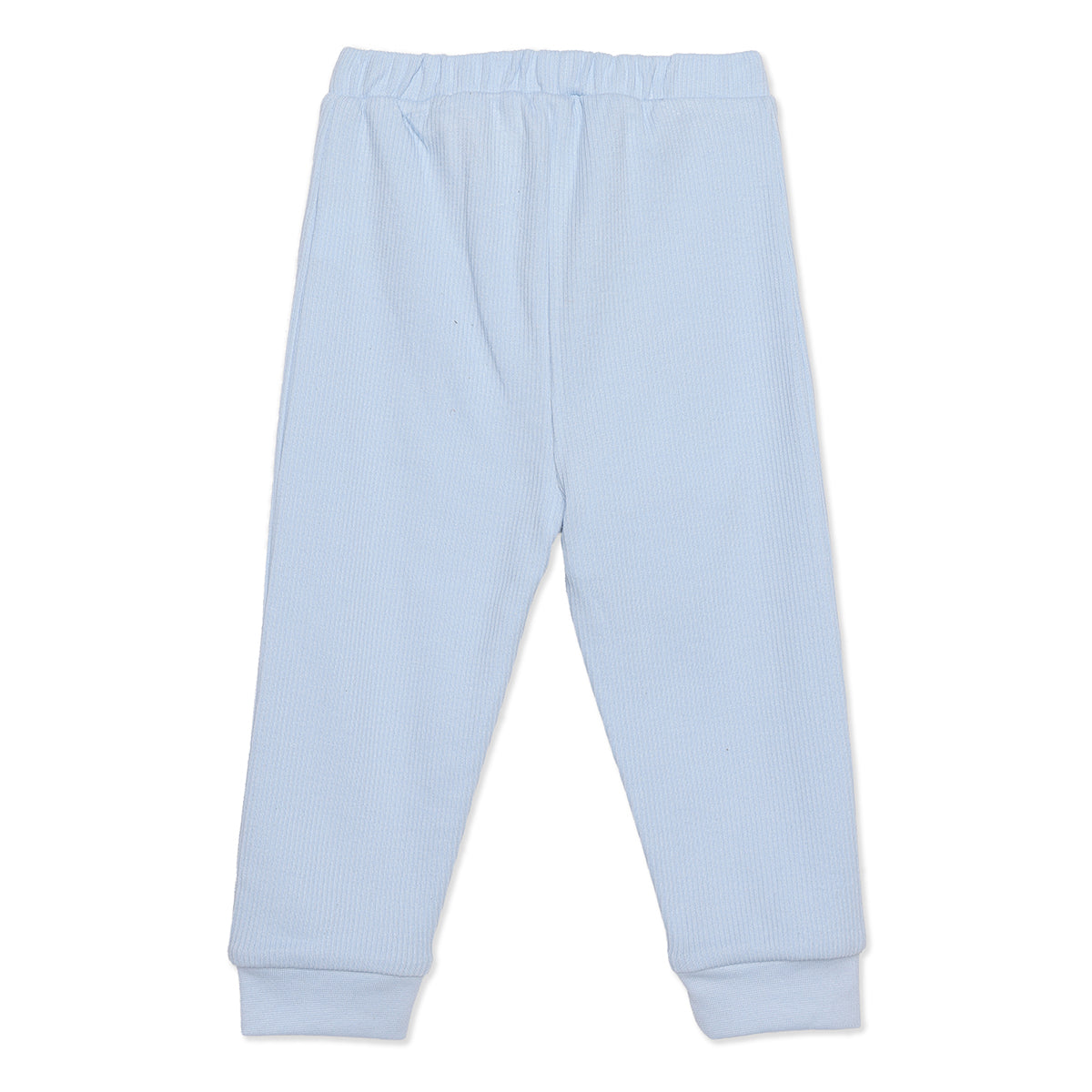 Baby Boys Light Blue Cotton Dinosaur Print Top and Bottom Set Regular Fit Casual Kidswear