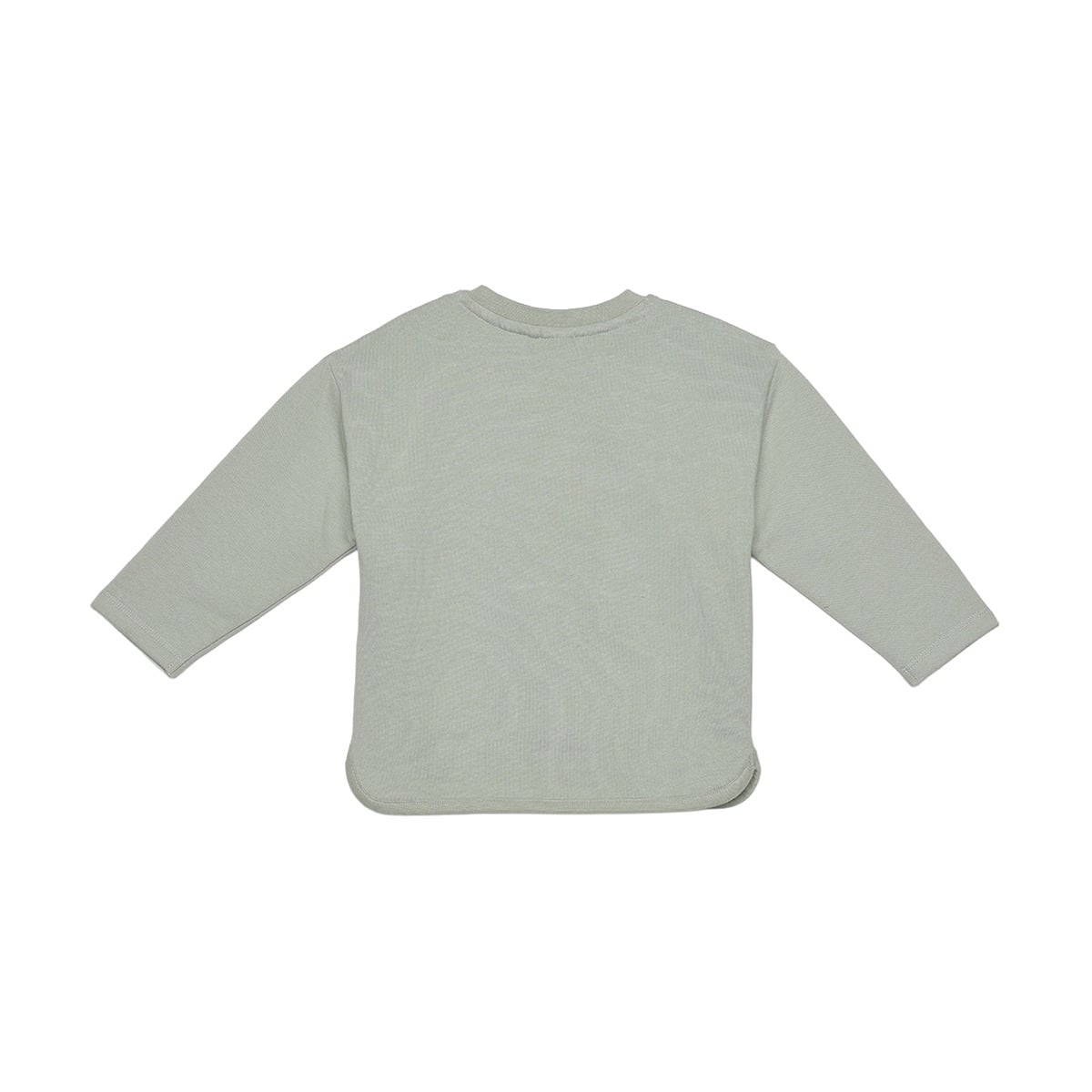 Baby Unisex Sage Green And Cream Cotton Blend Farm Friends Embroidered Top And Bottom Set Regular Fit Casual Wear