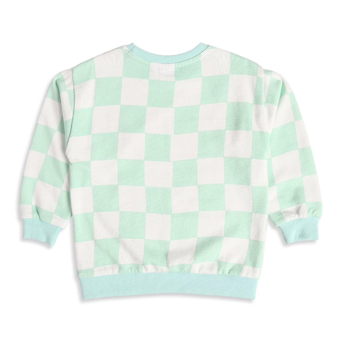 Baby Boys Mint Green and White Cotton Blend Checked Smiley Embroidered Sweatshirt Regular Fit Casual Wear