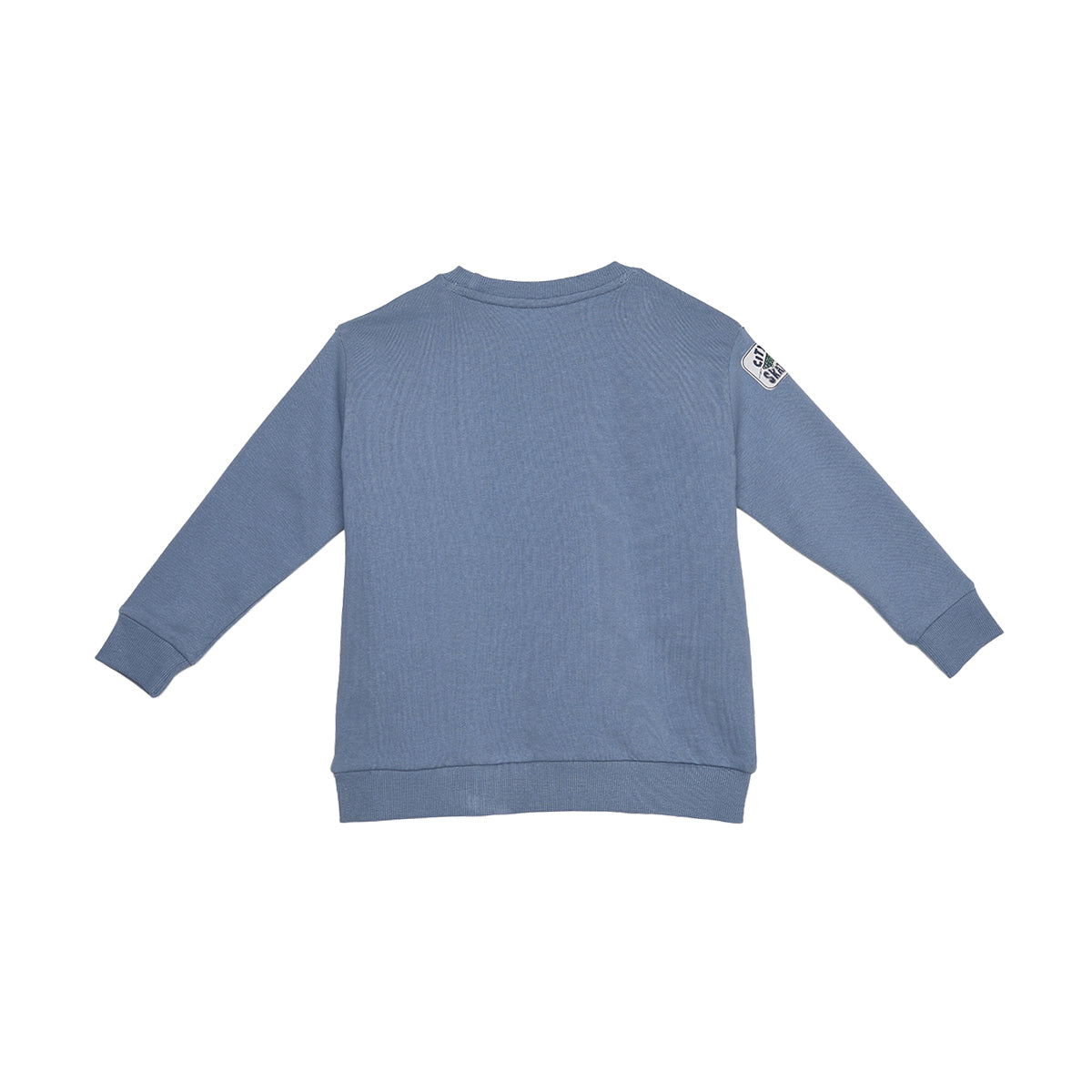 Boys Blue Cotton Skate Graphic Sweatshirt Regular Fit Casual Kids Sweatshirt