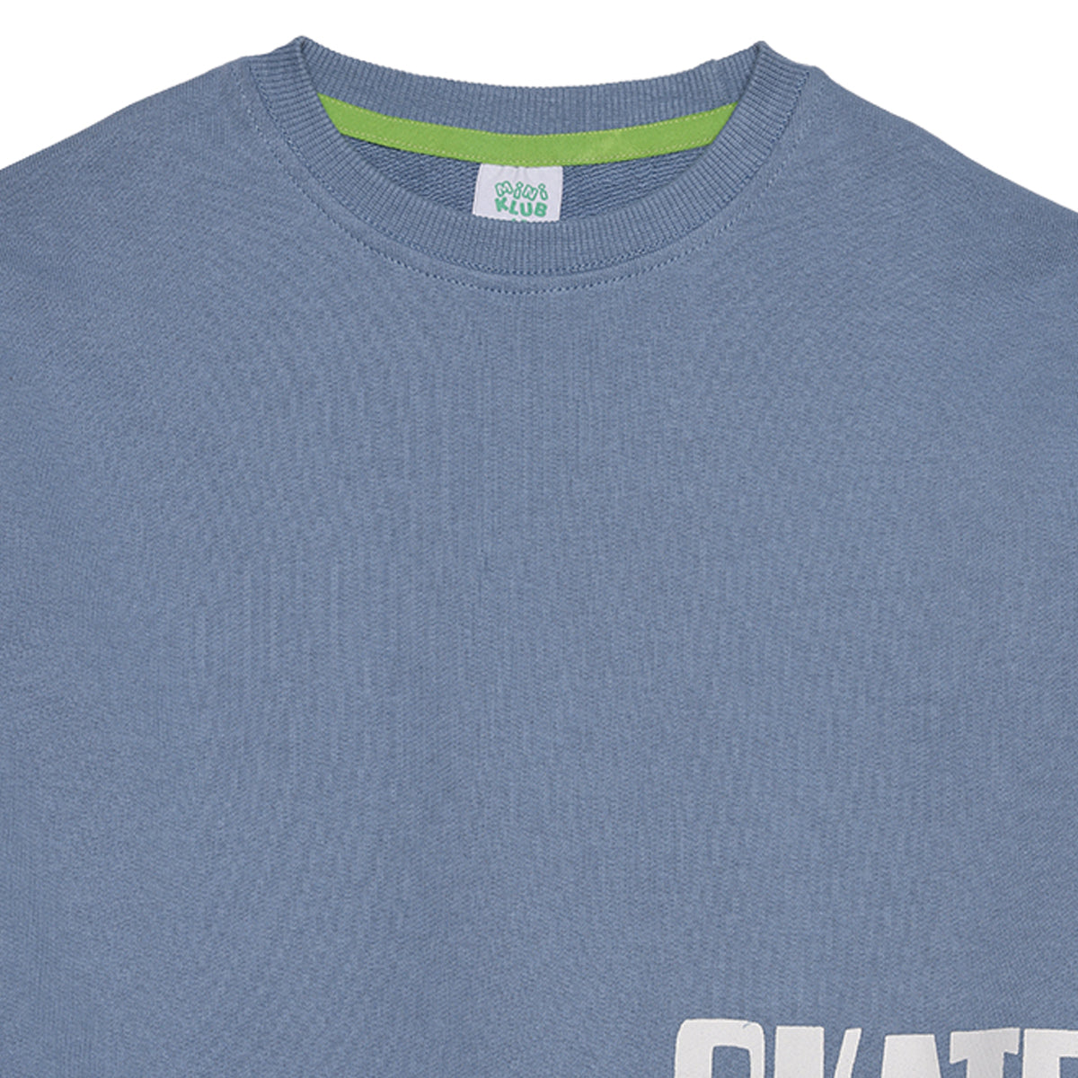 Boys Blue Cotton Skate Graphic Sweatshirt Regular Fit Casual Kids Sweatshirt