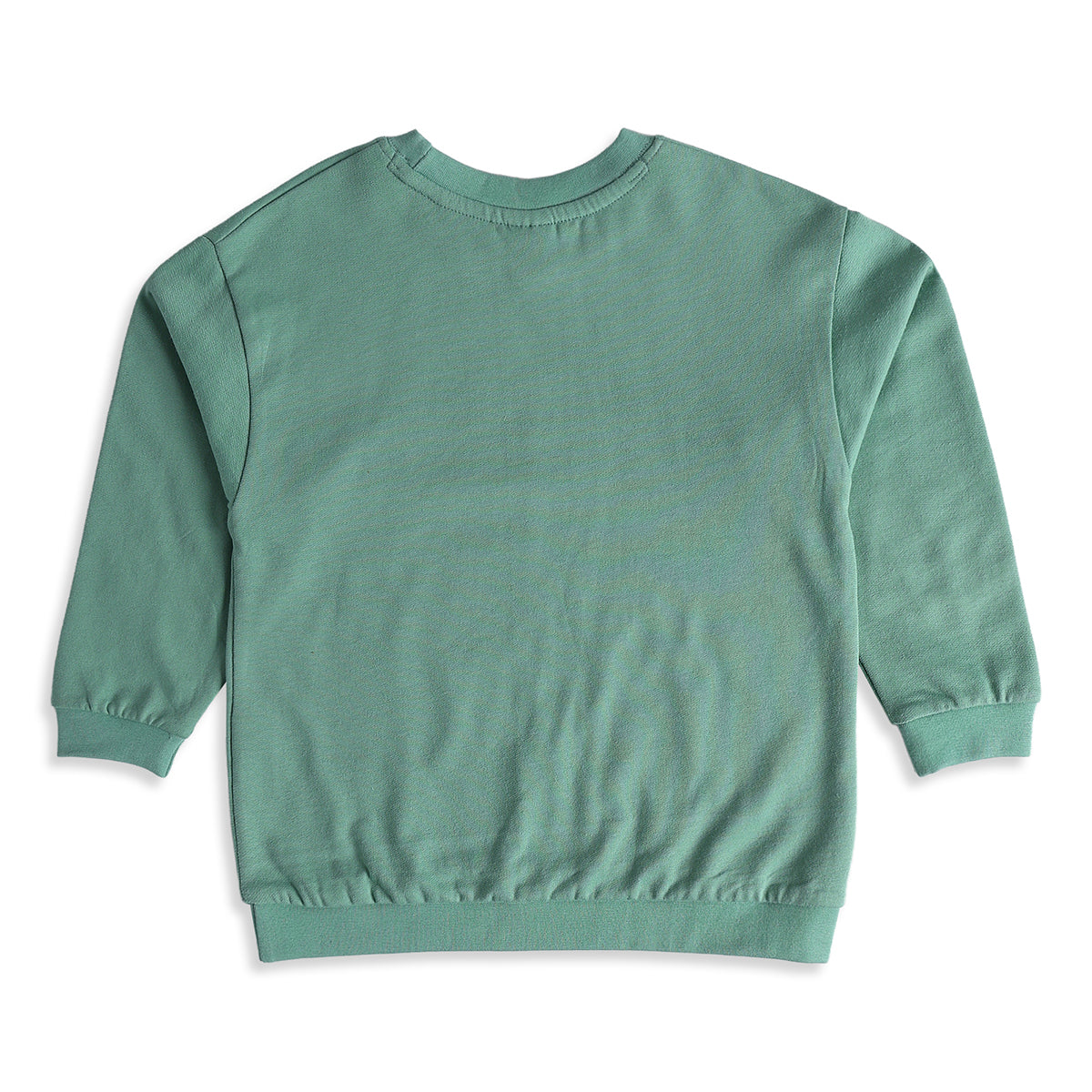 Boys Sage Green Cotton Blend Bear Sweatshirt Regular Fit Casual Wear