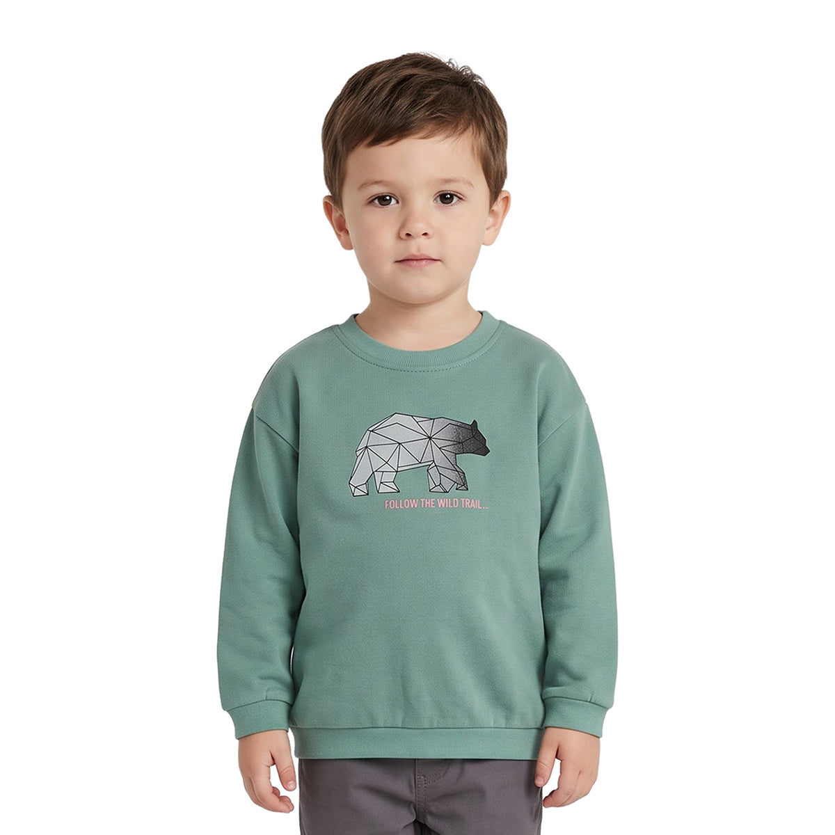 Boys Sage Green Cotton Blend Bear Sweatshirt Regular Fit Casual Wear