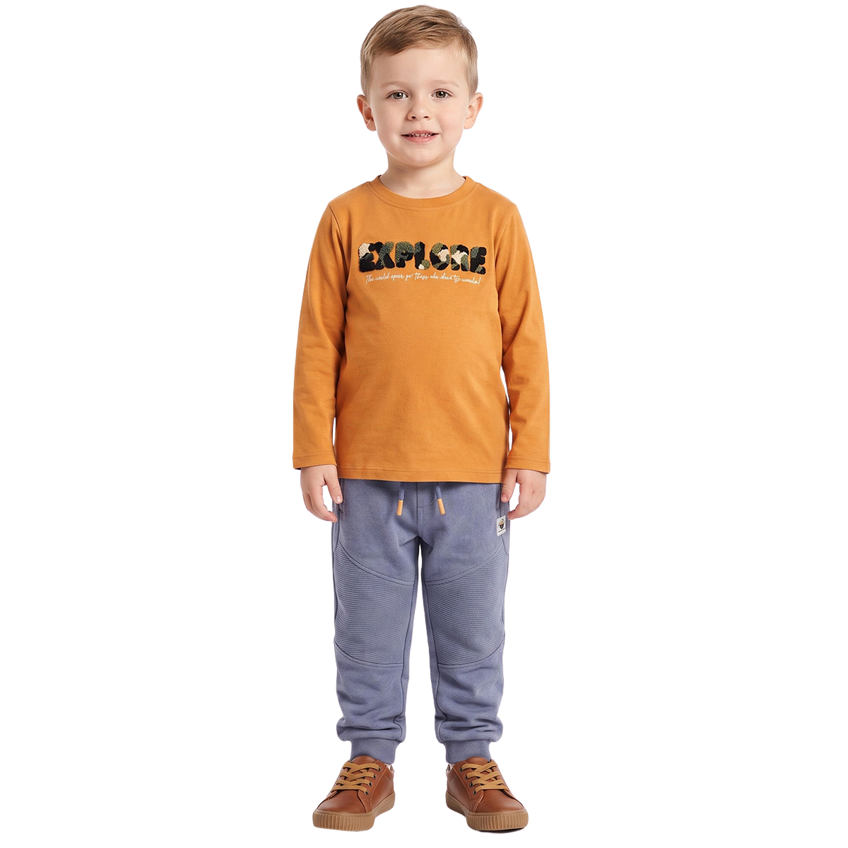 Boys Mustard Cotton Explore Chenille Applique T Shirt Full Sleeve