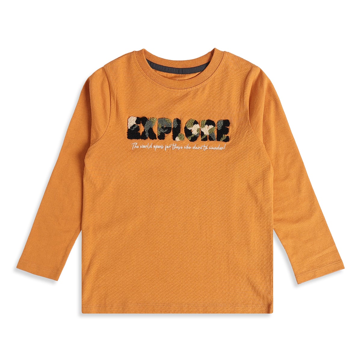 Boys Mustard Cotton Explore Chenille Applique T-Shirt Full Sleeve Casual Wear