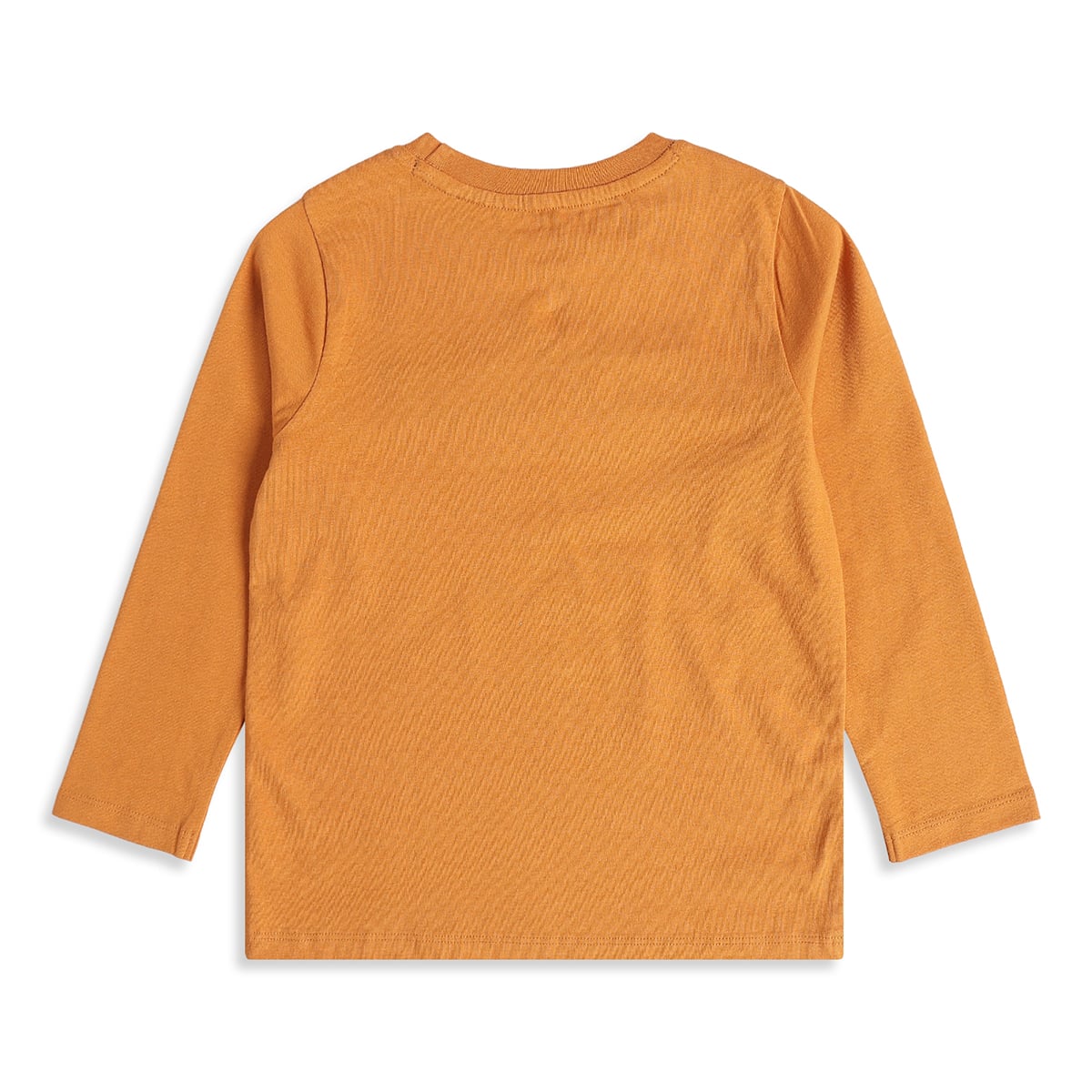 Boys Mustard Cotton Explore Chenille Applique T-Shirt Full Sleeve Casual Wear
