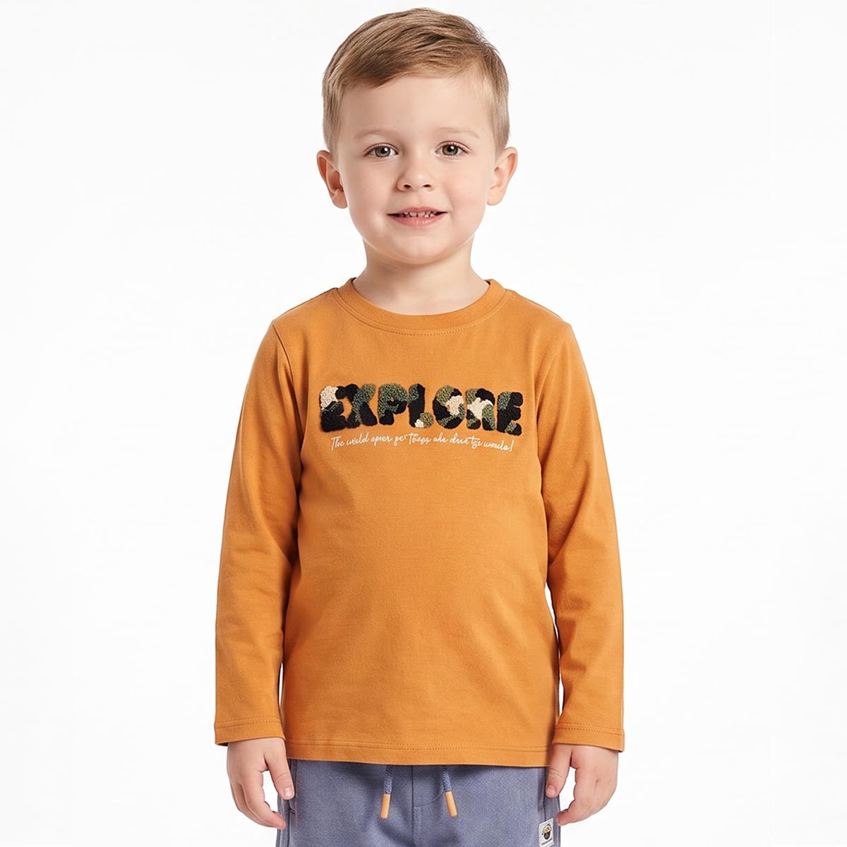 Boys Mustard Cotton Explore Chenille Applique T-Shirt Full Sleeve Casual Wear