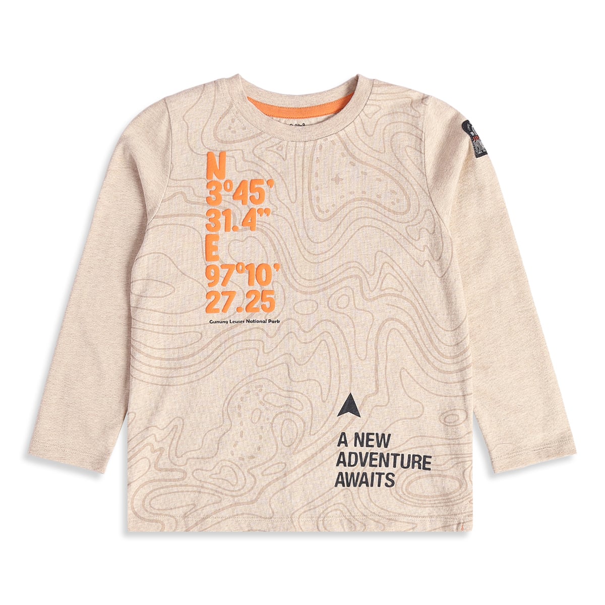 Boys Beige Cotton Adventure Graphic T Shirt Full Sleeve Casual Wear