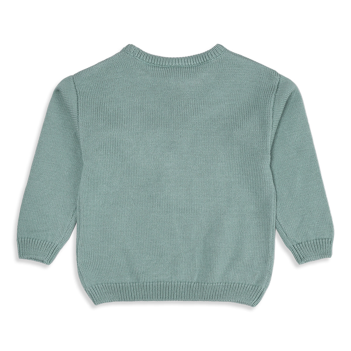Girls Sea Green Acrylic Blend Floral Applique Sweater Regular Fit