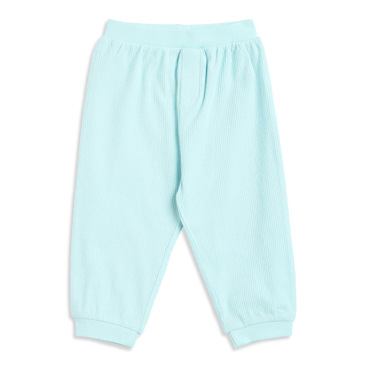 Baby Boys Mint Green and White Cotton Knit Bottom Pack of 2 Regular Fit Everyday Wear