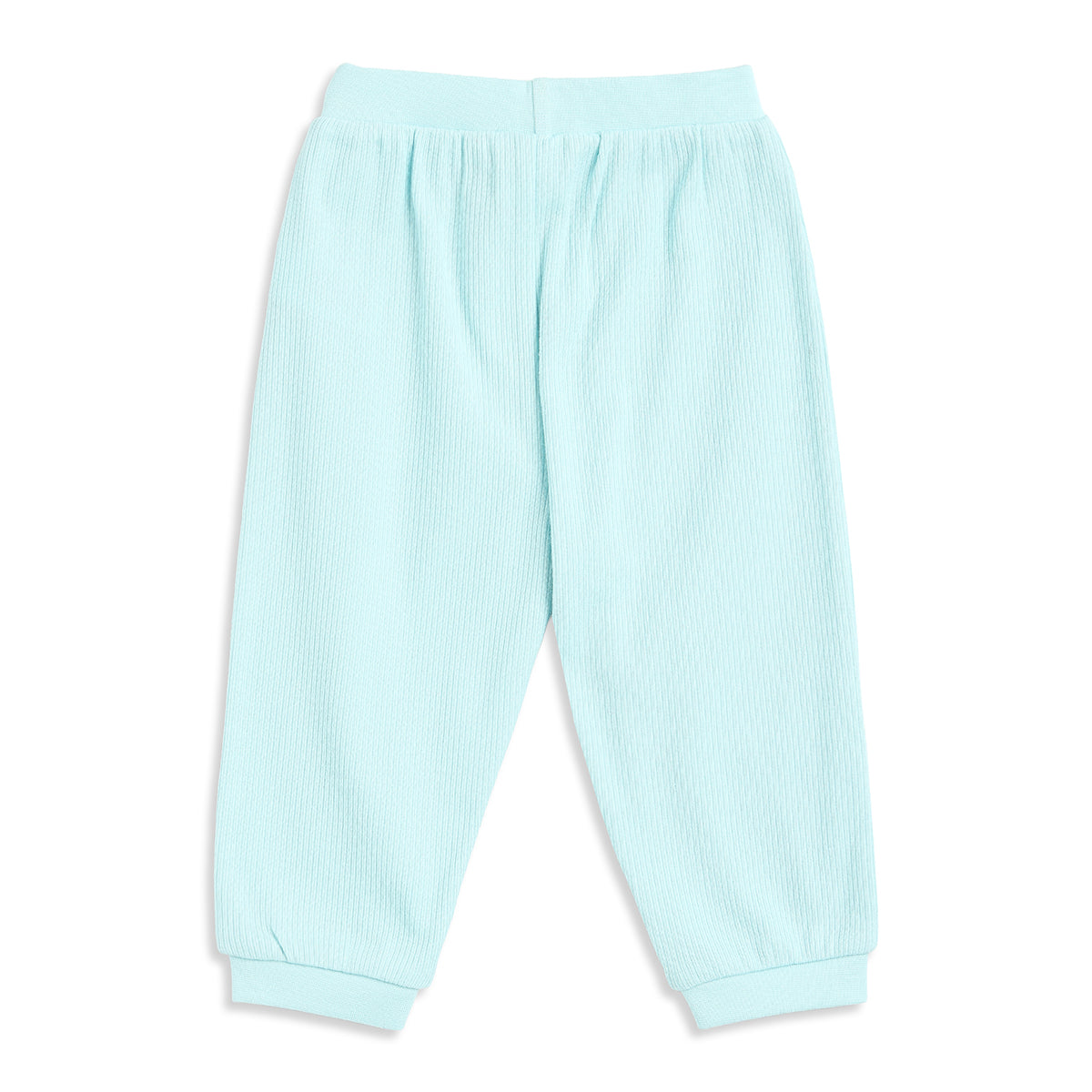 Baby Boys Mint Green and White Cotton Knit Bottom Pack of 2 Regular Fit Everyday Wear