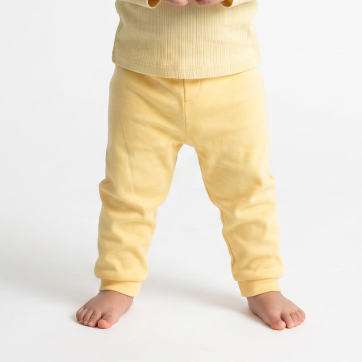 Baby Boys Yellow and Beige Cotton Jogger Pack of 2 Regular Fit Casual Kids Pants