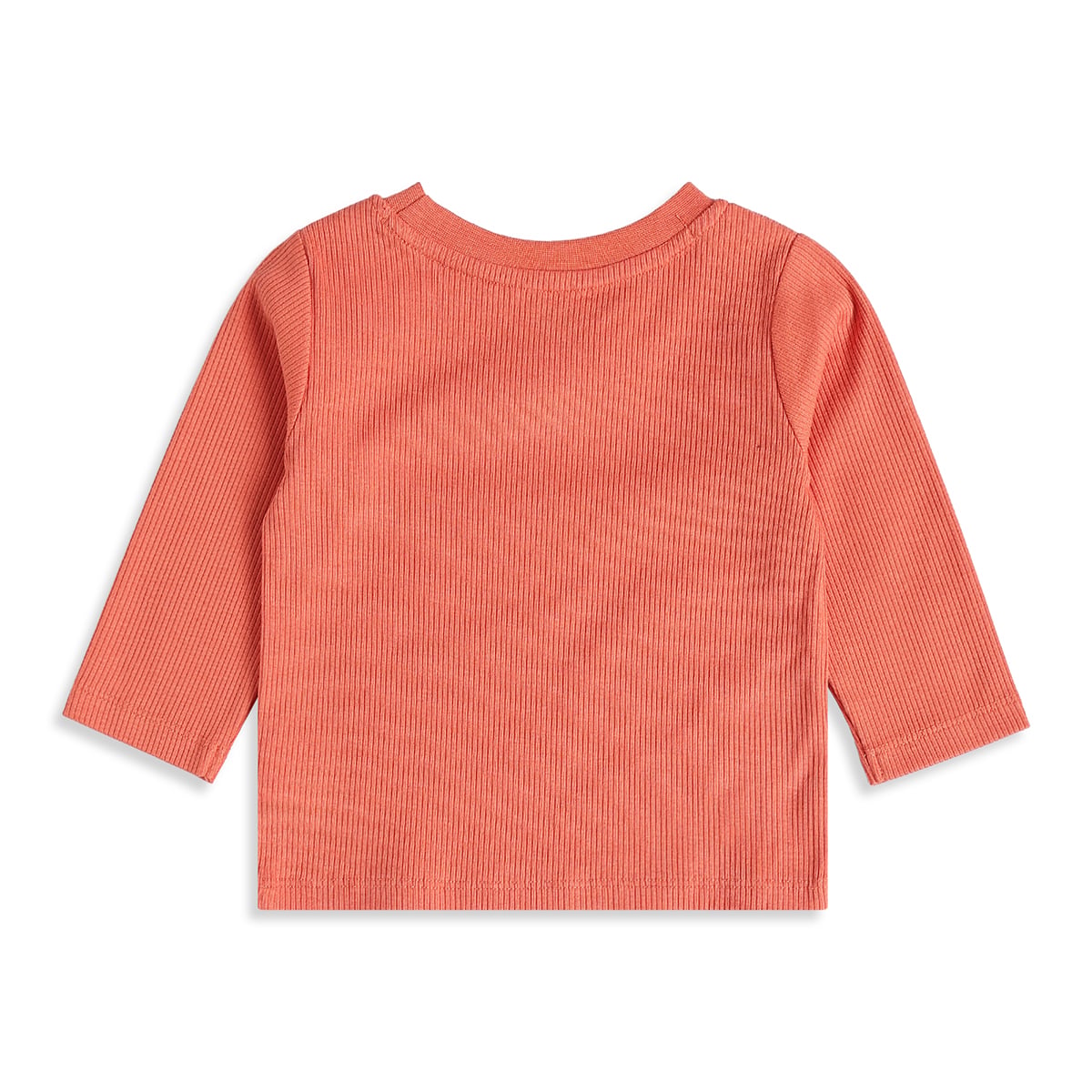 Baby Boys Peach And Coral Cotton Dog Printed Three-Quarter Sleeve T-Shirts Pack Of 2 Regular Fit Casual Wear