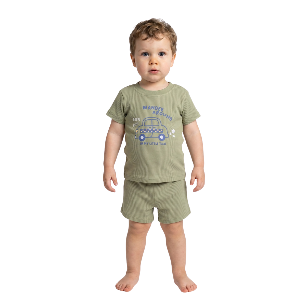 Baby Boys Sage Green and Light Grey Cotton T Shirts Pack of 2 Regular