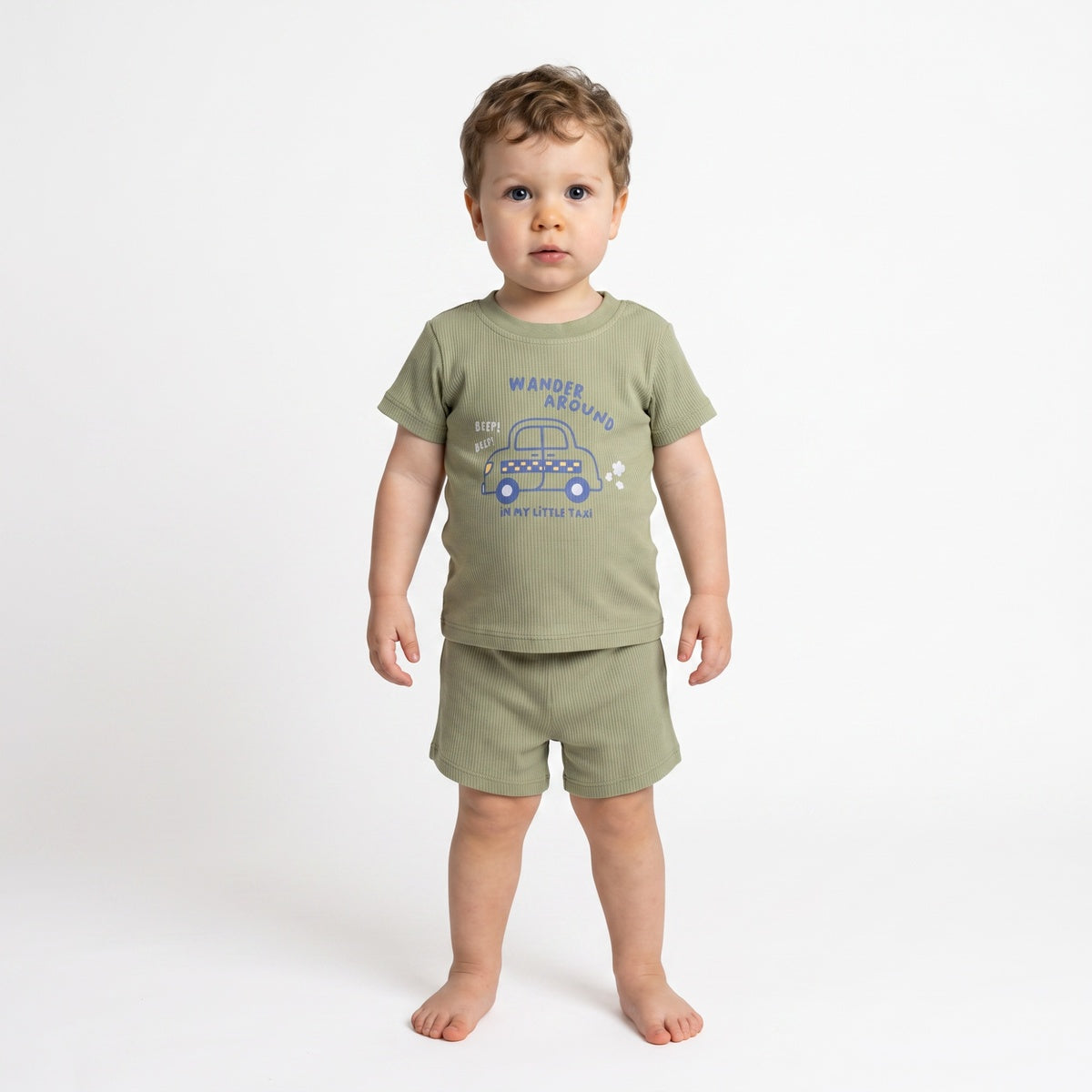 Baby Boys Sage Green and Light Grey Cotton T-Shirts Pack of 2 Regular Fit Casual Wear