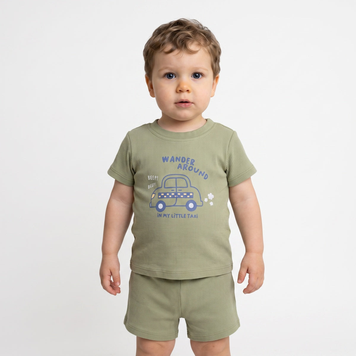 Baby Boys Sage Green and Light Grey Cotton T-Shirts Pack of 2 Regular Fit Casual Wear