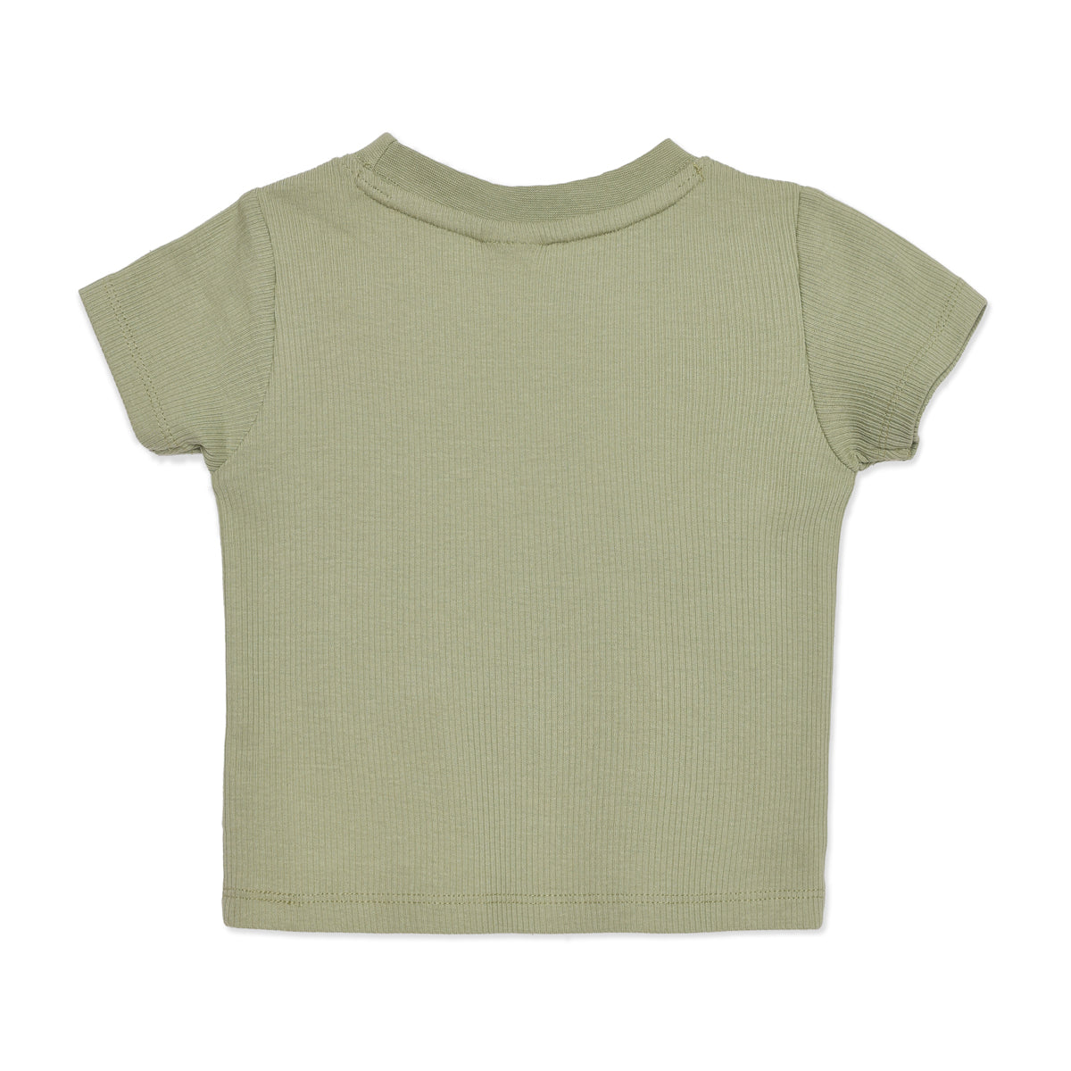 Baby Boys Sage Green and Light Grey Cotton T-Shirts Pack of 2 Regular Fit Casual Wear