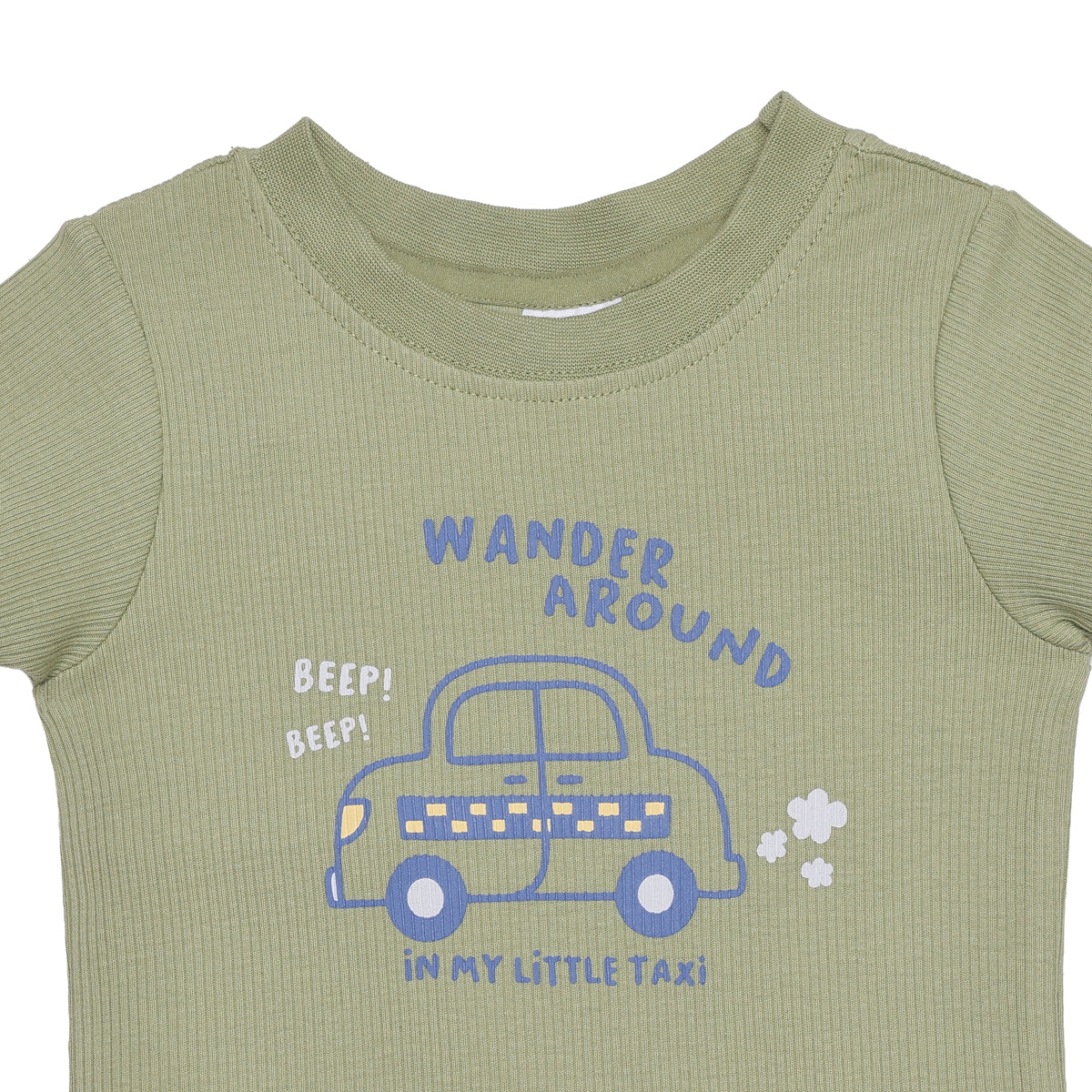 Baby Boys Sage Green and Light Grey Cotton T-Shirts Pack of 2 Regular Fit Casual Wear