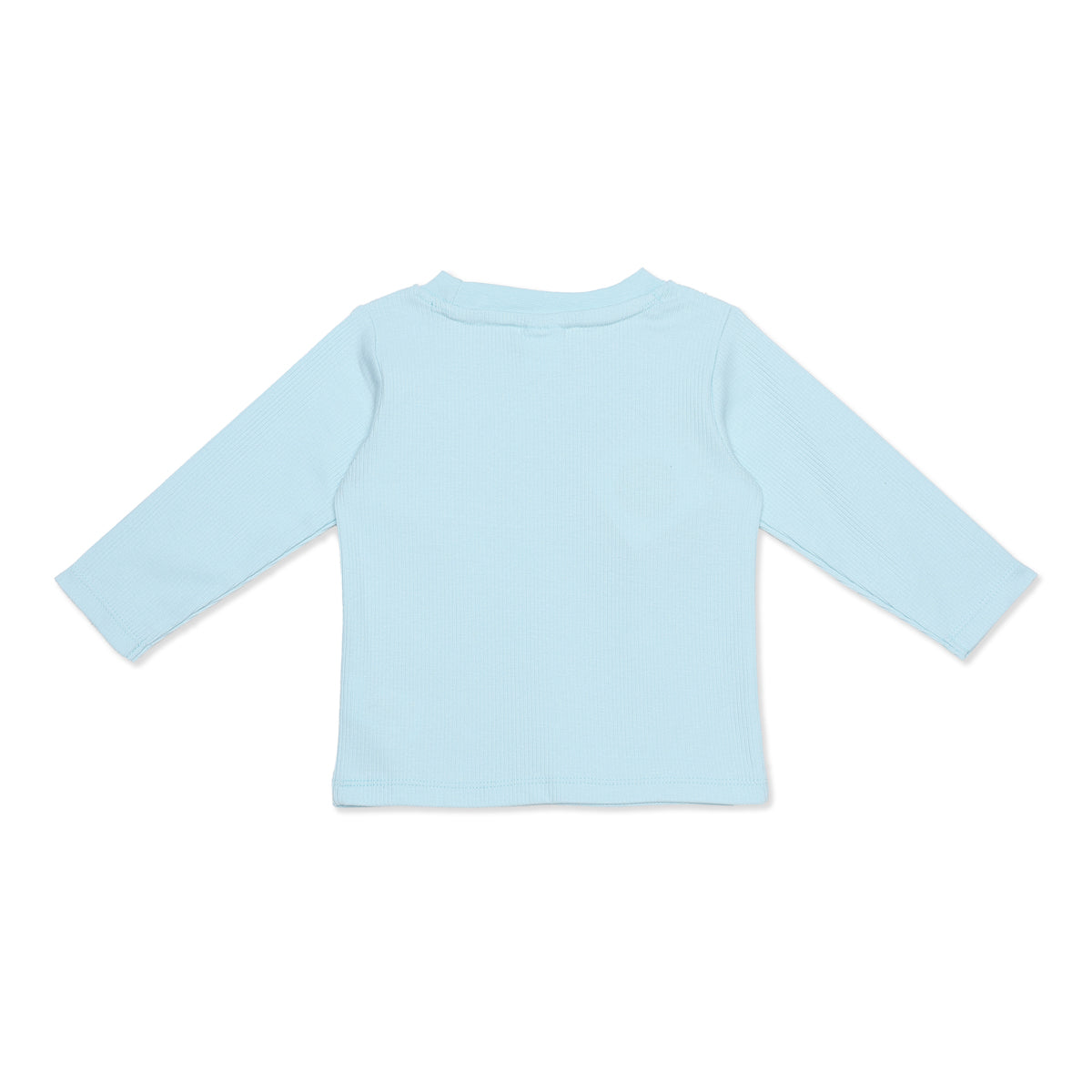 Baby Boys Blue and Grey Cotton T-Shirts Pack of 2 Regular Fit Casual Wear