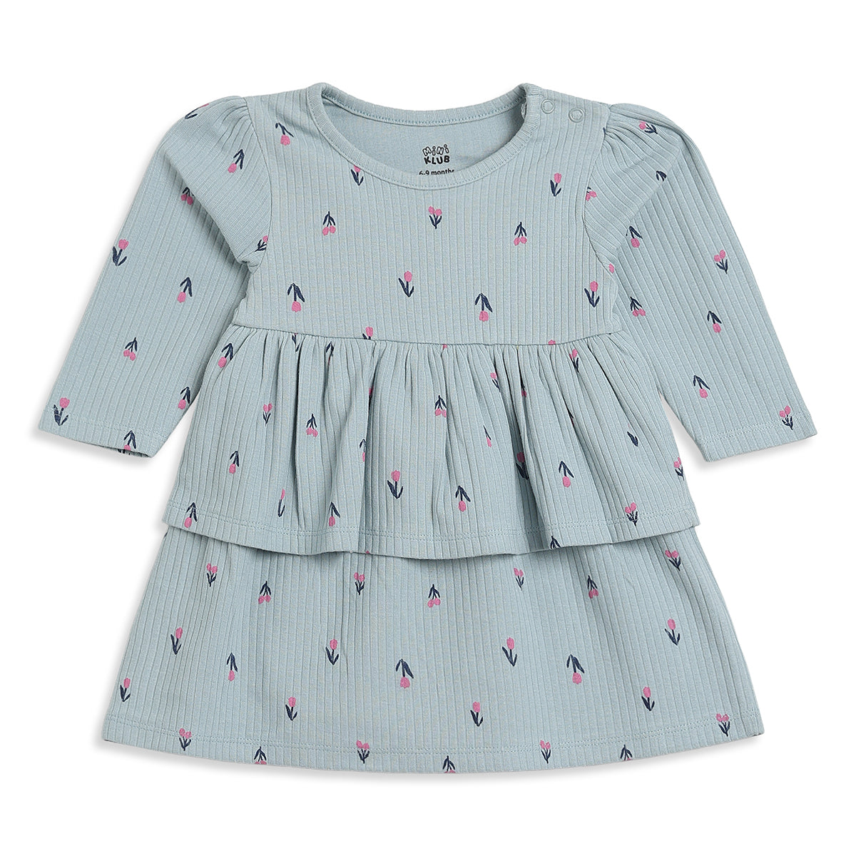 Baby Girls Blue and Pink Cotton Dresses Pack of 2 Regular Fit