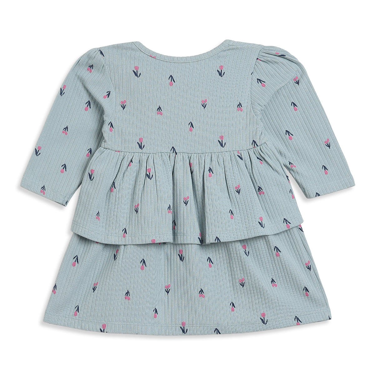 Baby Girls Blue and Pink Cotton Dresses Pack of 2 Regular Fit