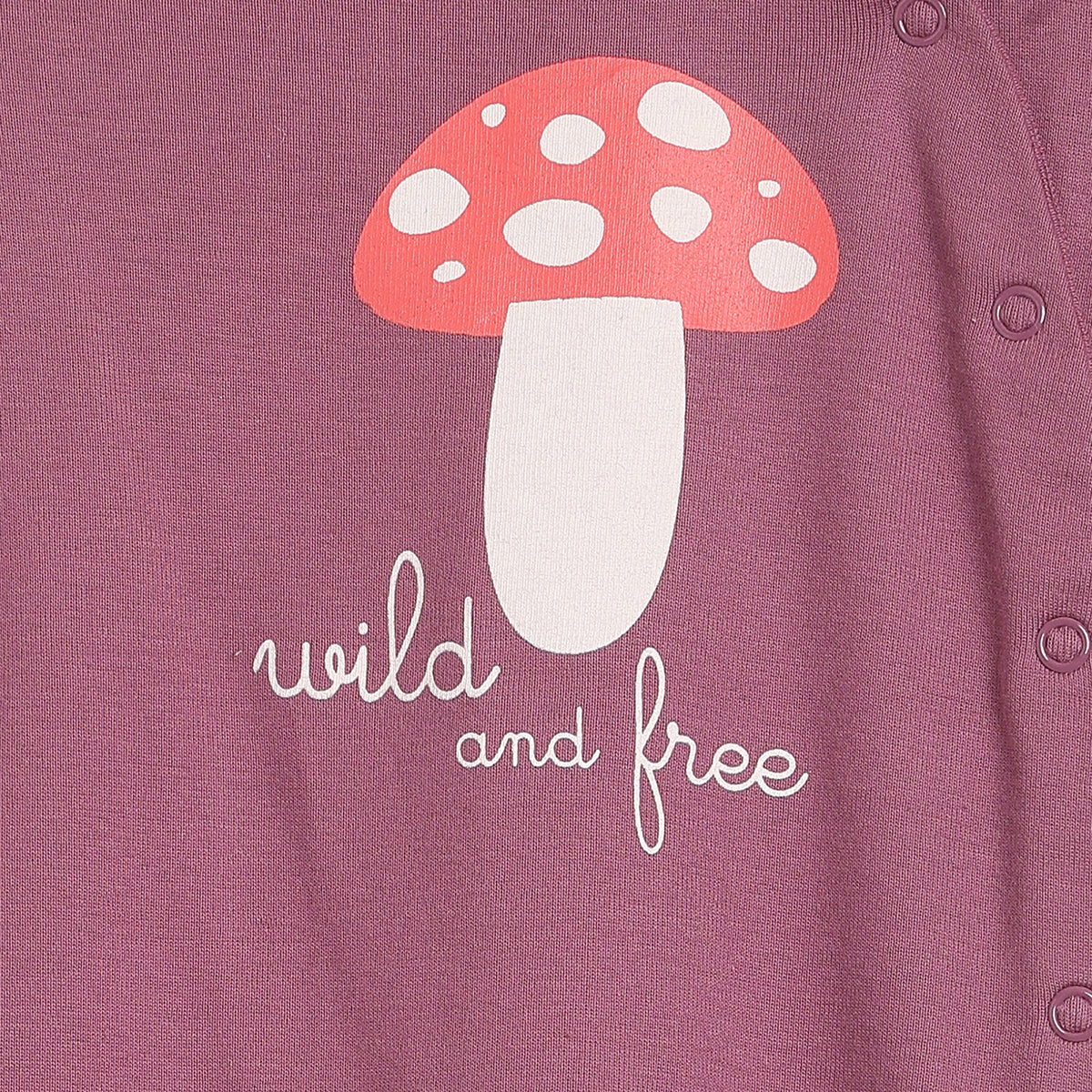 Baby Girls Mauve and Cream Sleepsuits Pack of 2 Regular Fit