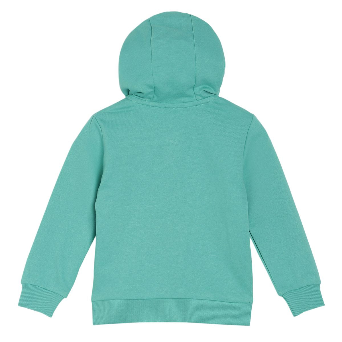 Pack of 1 sweatshirt - green for 3-6 Months