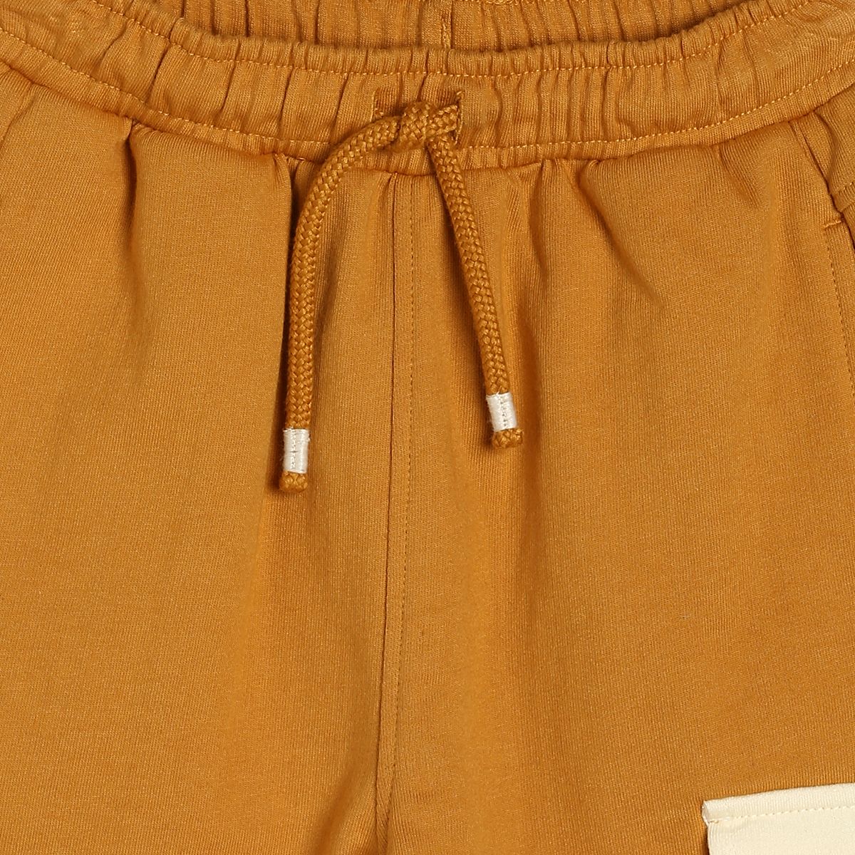 Boys Brown Pack Of 1 Shorts