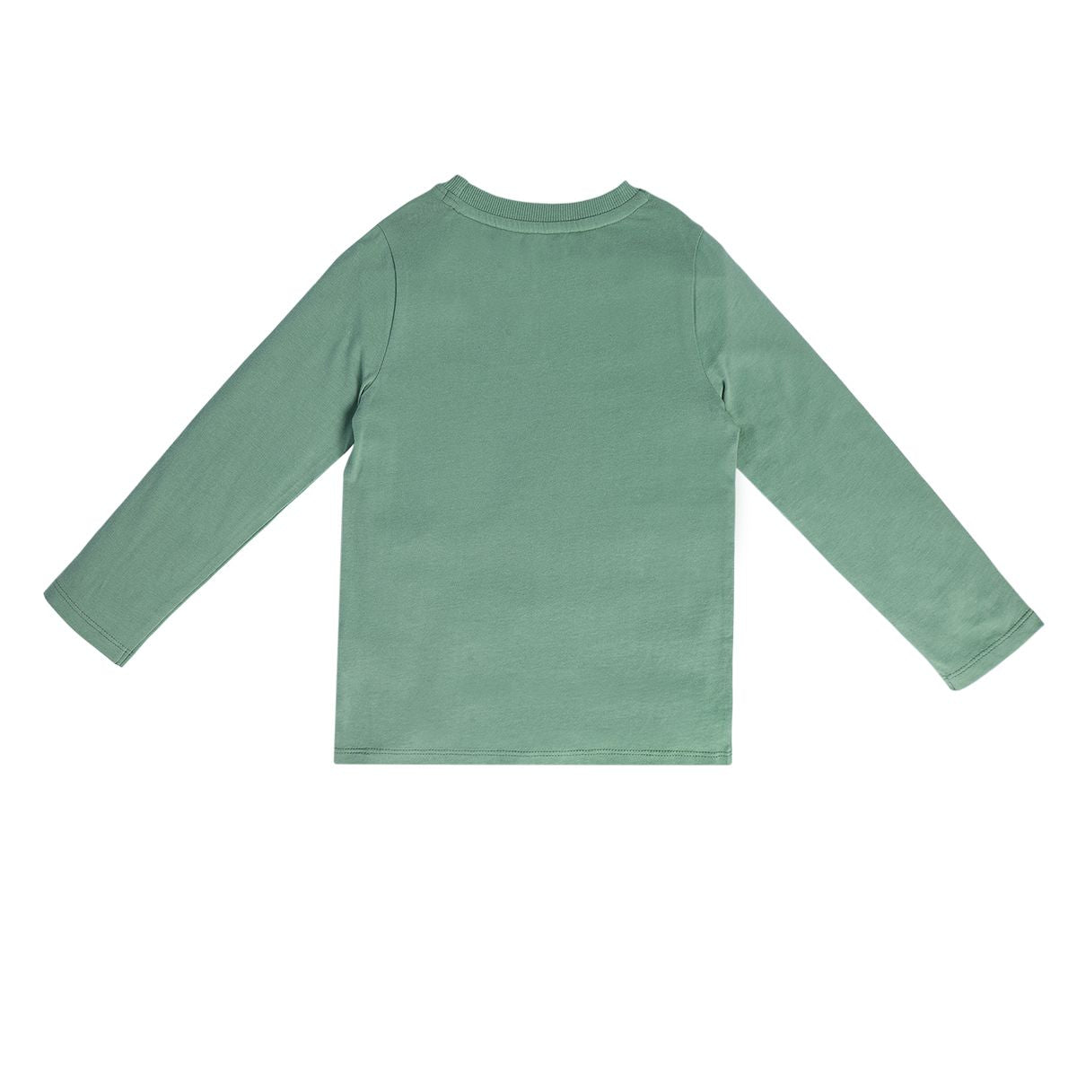 Boys Green Pack Of 1 T-Shirt
