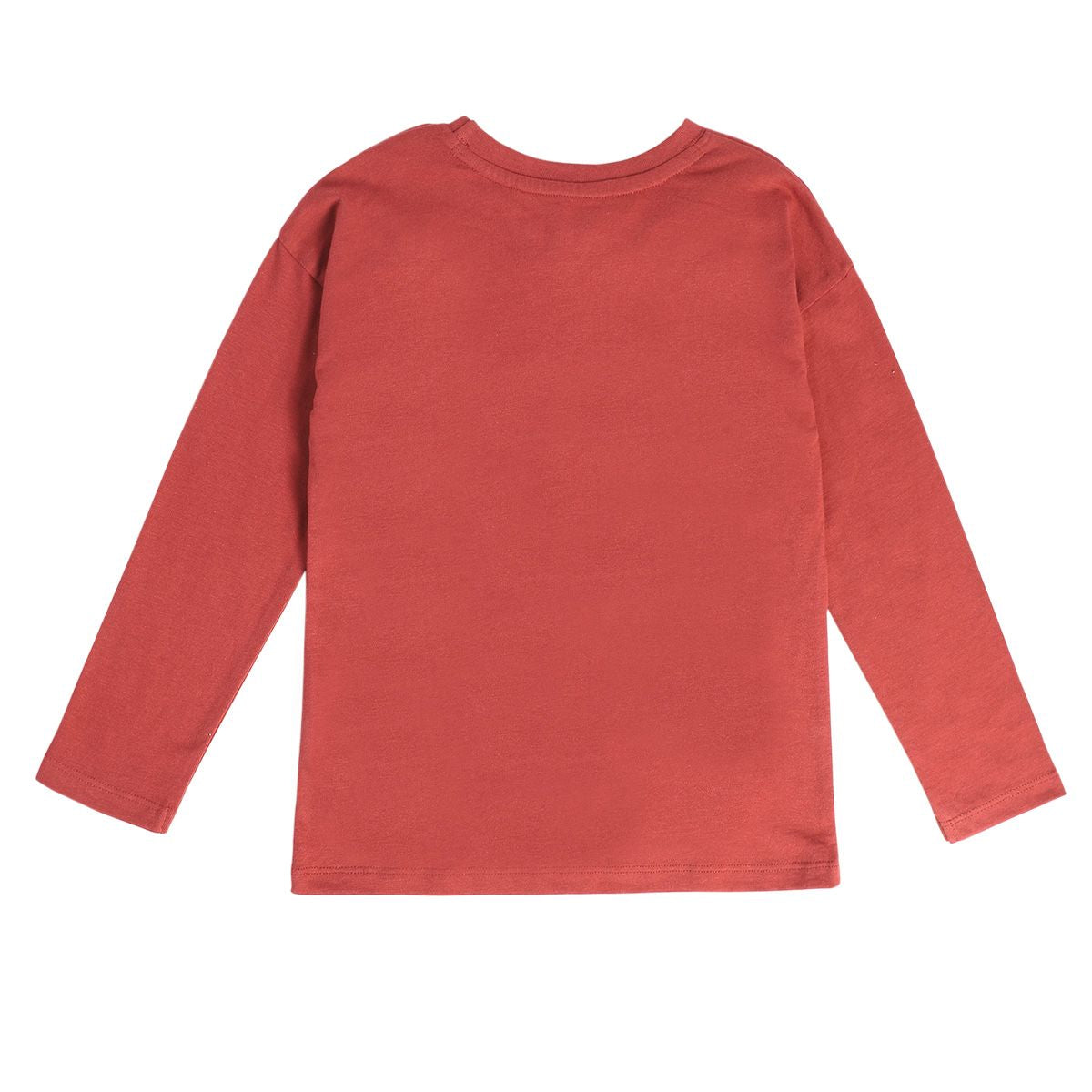 Boys Rust Pack Of 1 T-Shirt