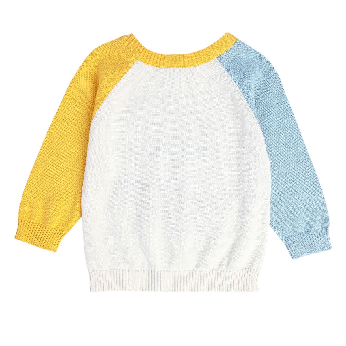 Boys Multicolor Pack Of 1 Sweater