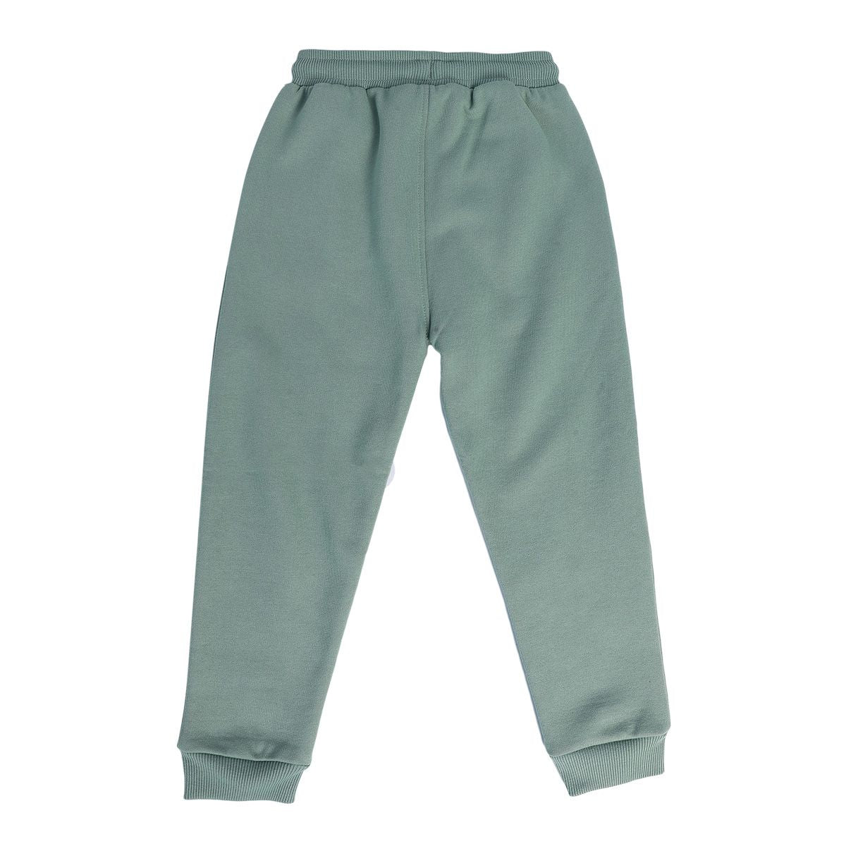 Boys Green Pack Of 1 Jogger