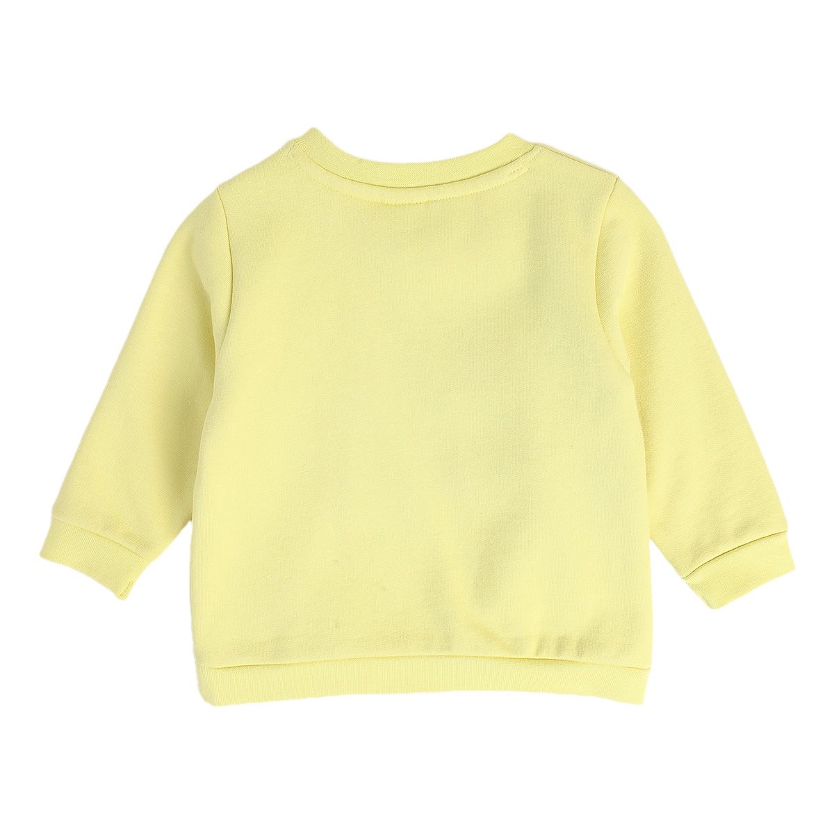 Girls Lime Pack Of 1 Sweat Shirt